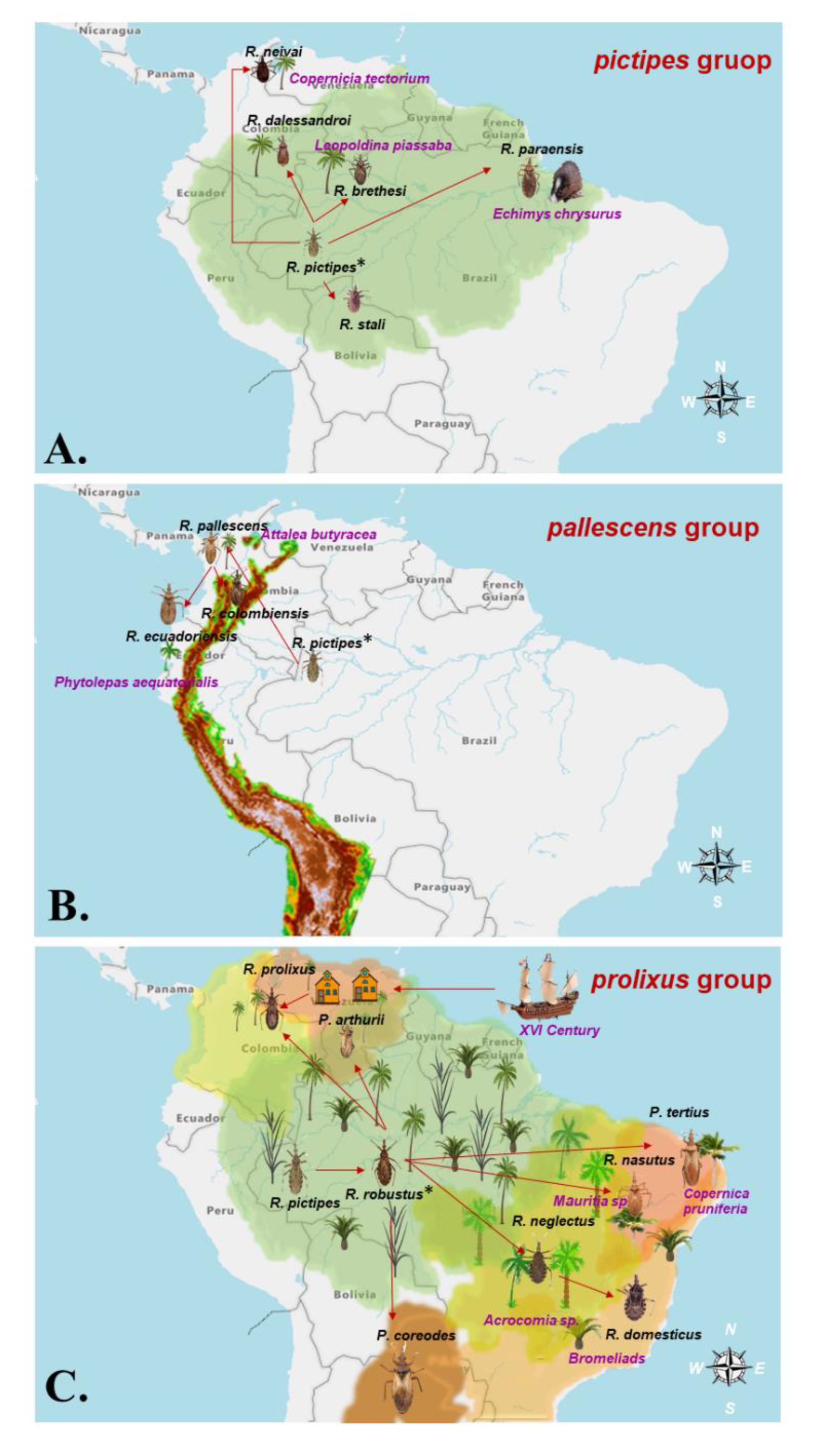 Diversity 12 00097 g006 Diversity 12 00097 g006