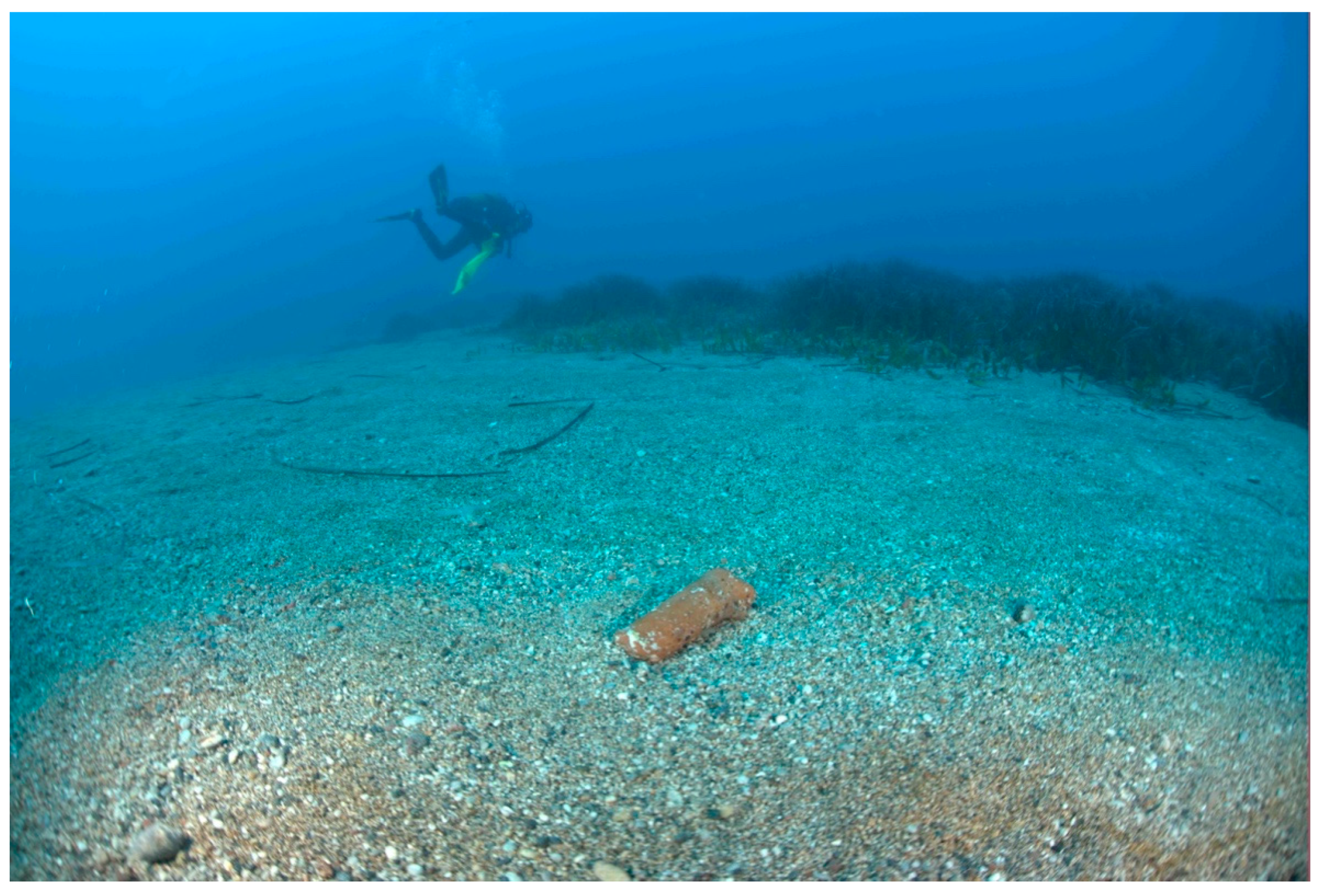 Diversity 12 00102 g002