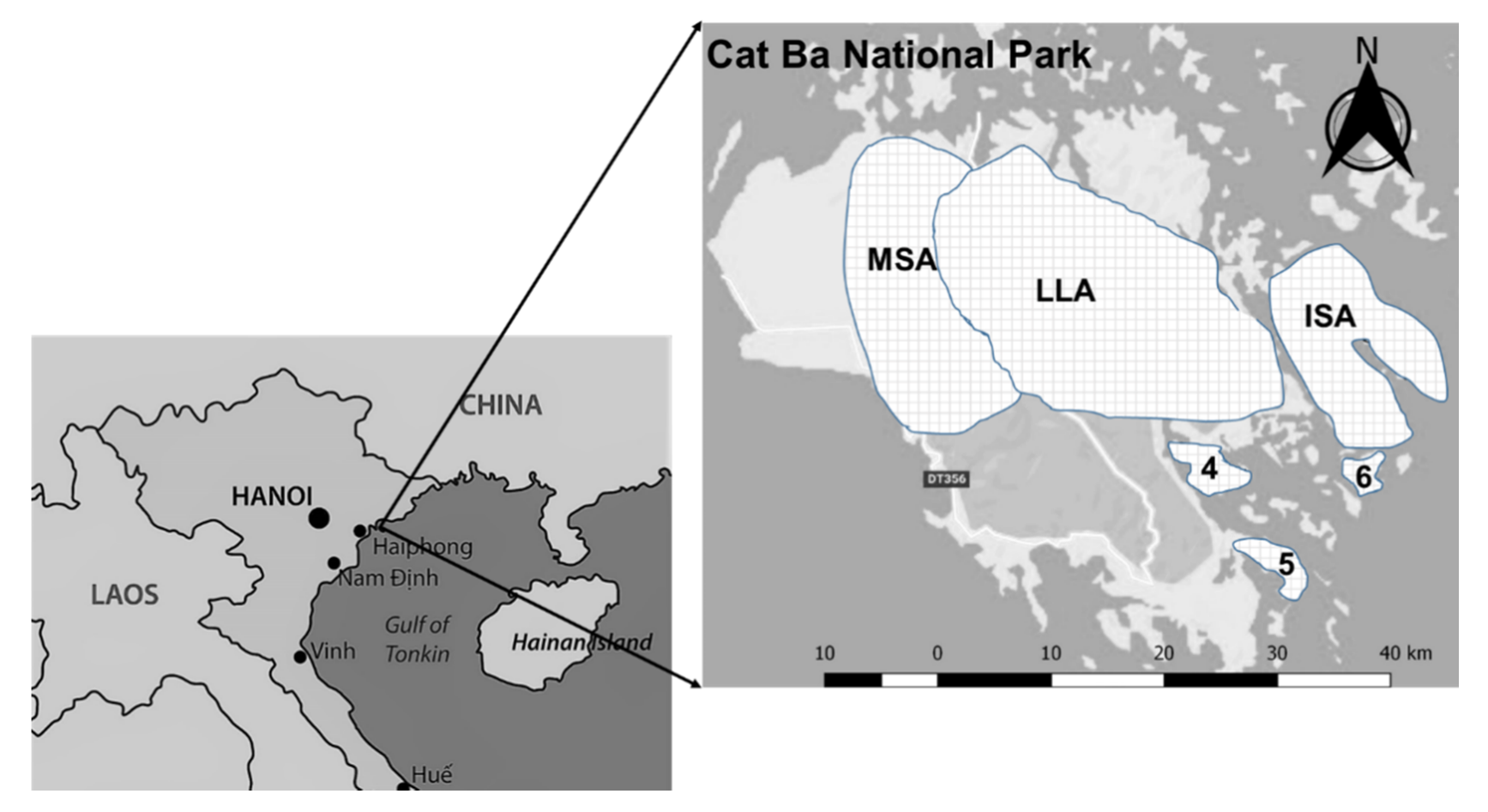 Diversity 12 00104 g001