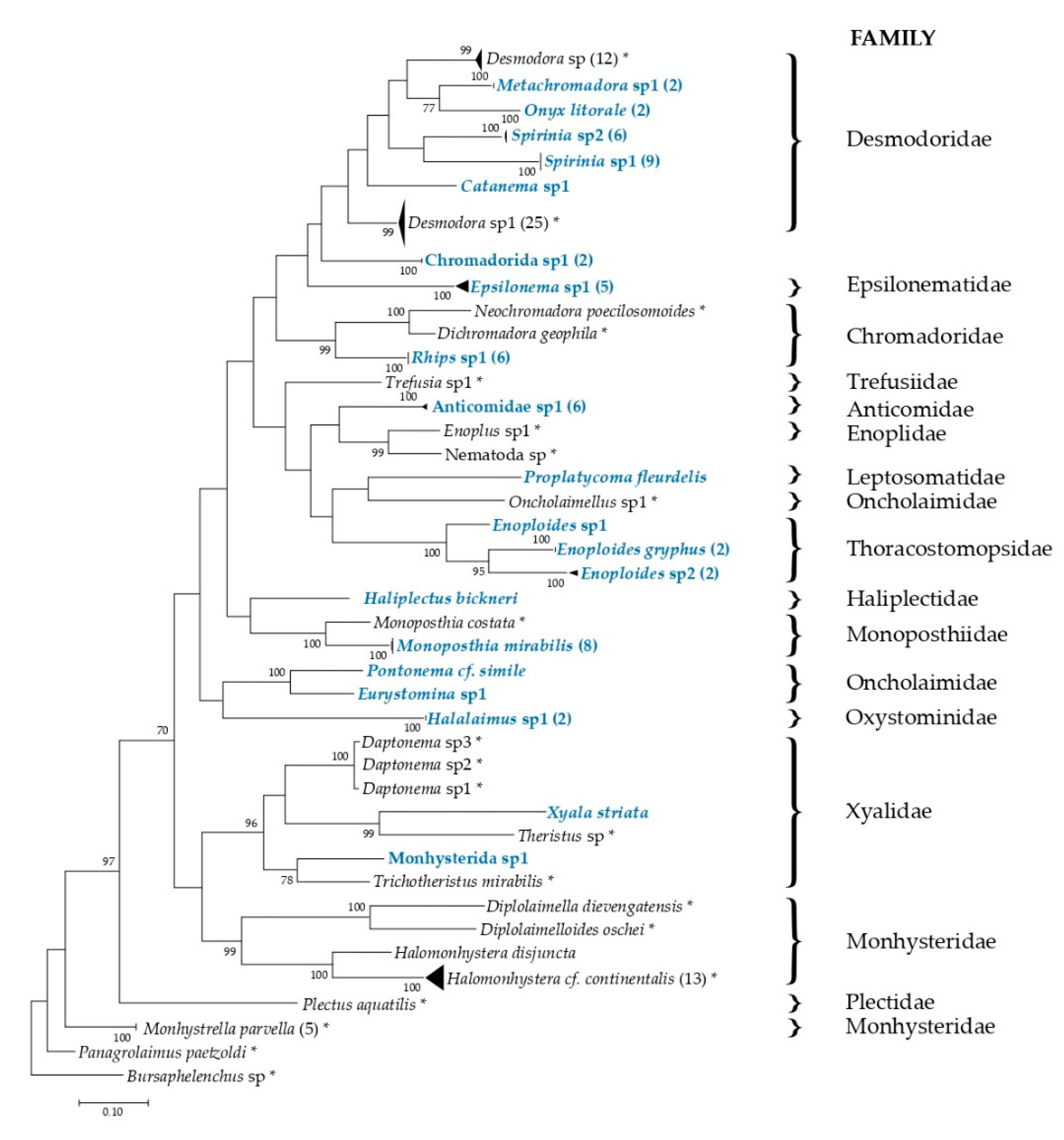 Diversity 12 00107 g005 Diversity 12 00107 g005