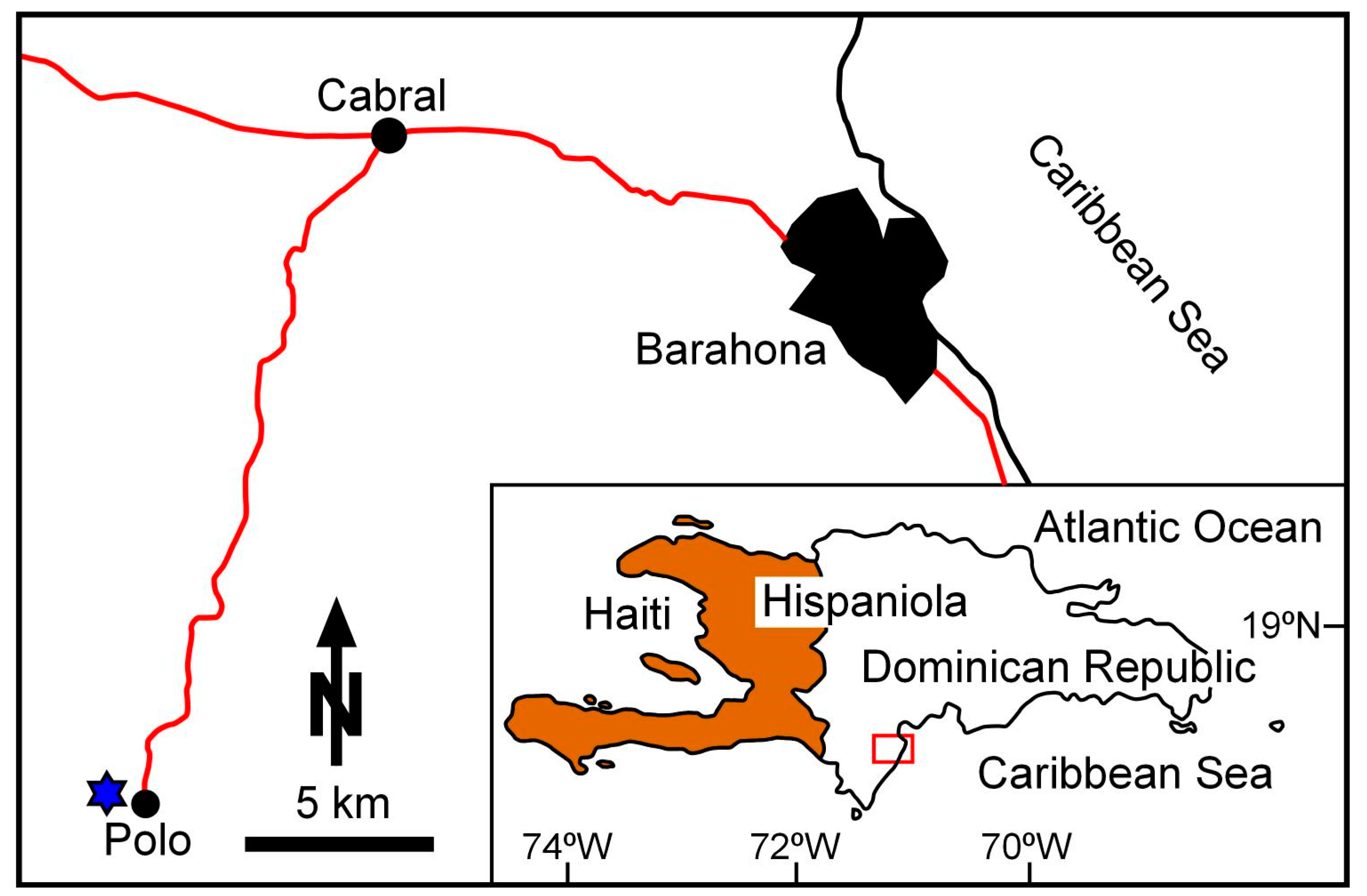 Diversity 12 00117 g004 Diversity 12 00117 g004