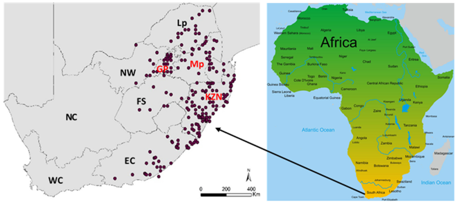 Diversity 12 00122 g004 Diversity 12 00122 g004