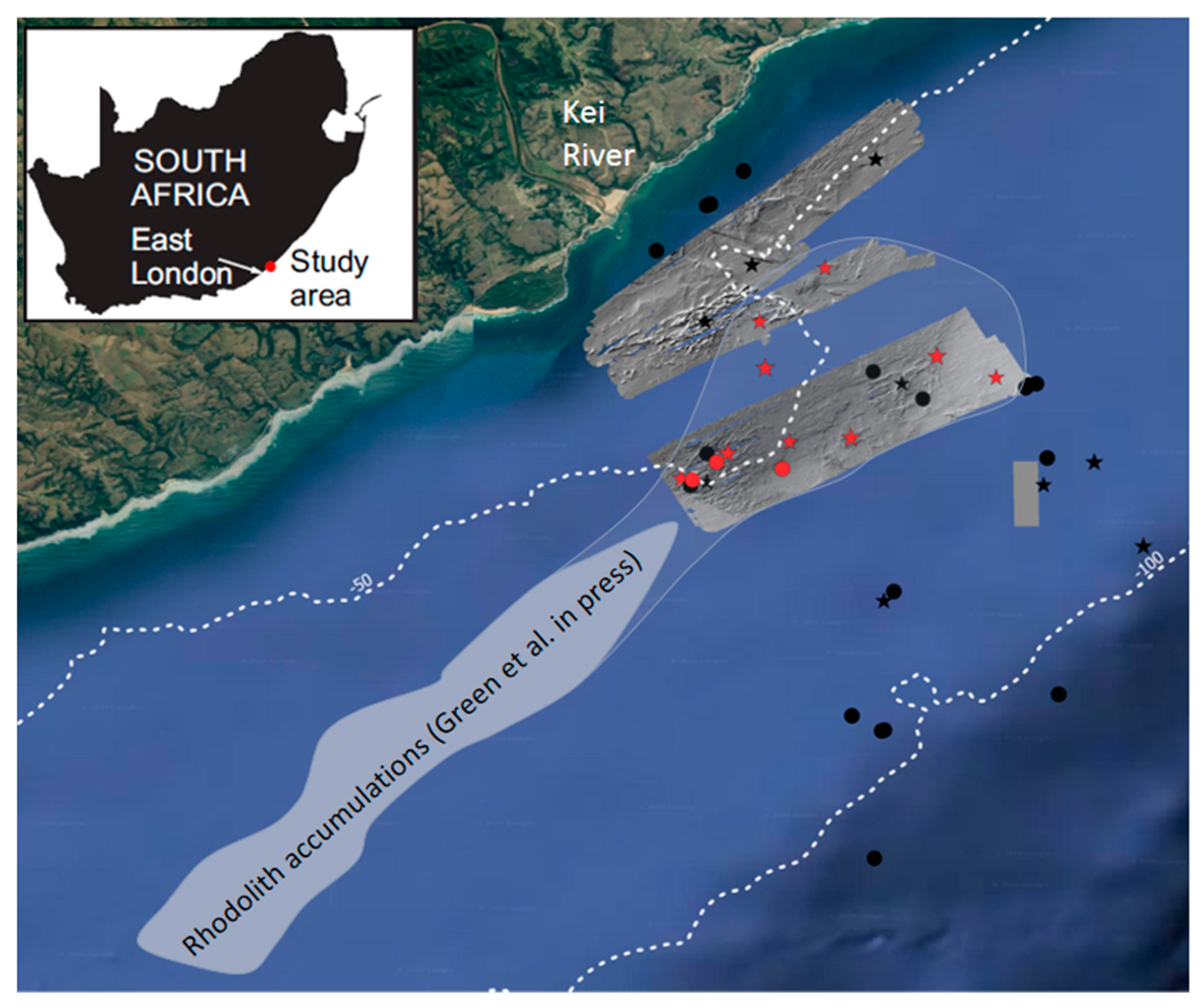 Diversity 12 00125 g001 Diversity 12 00125 g001