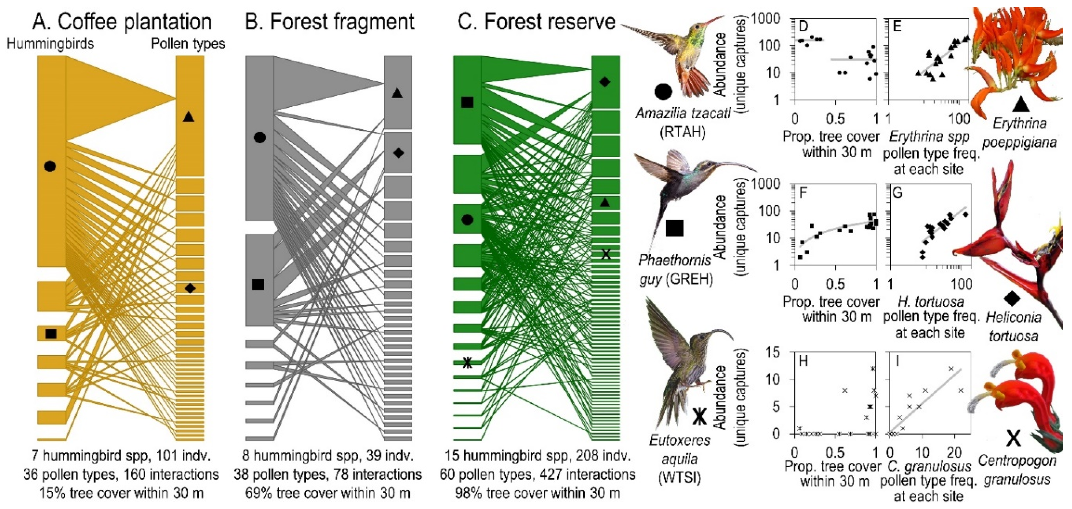 Diversity 12 00126 g003 Diversity 12 00126 g003