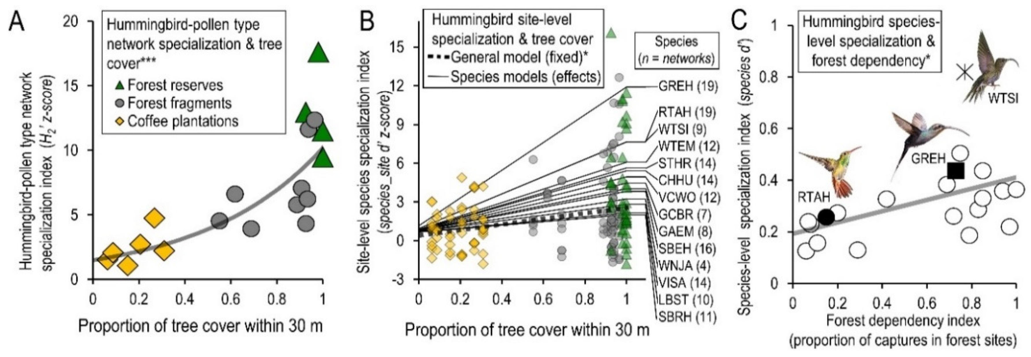 Diversity 12 00126 g004 Diversity 12 00126 g004