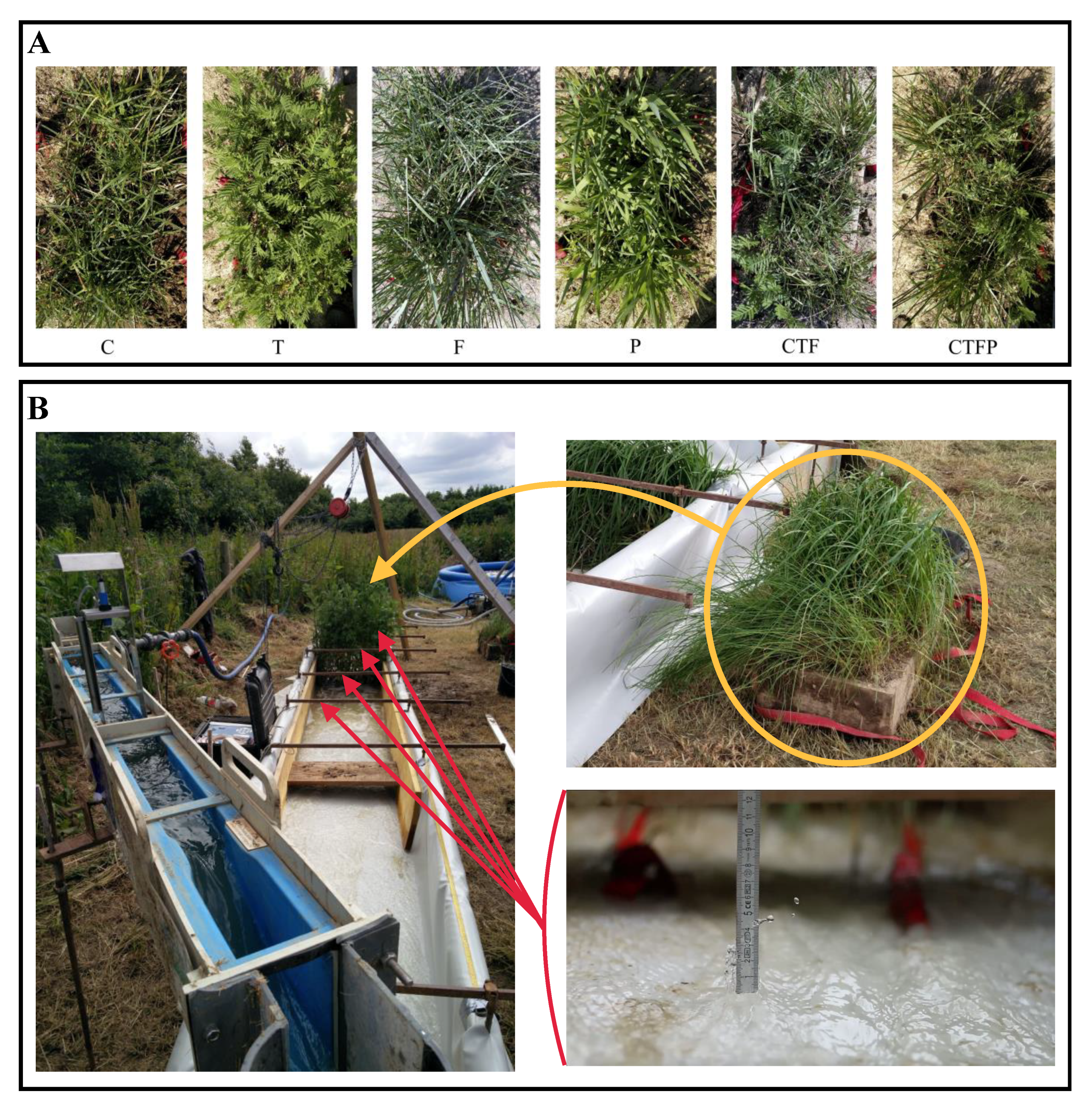 Diversity 12 00131 g001 Diversity 12 00131 g001