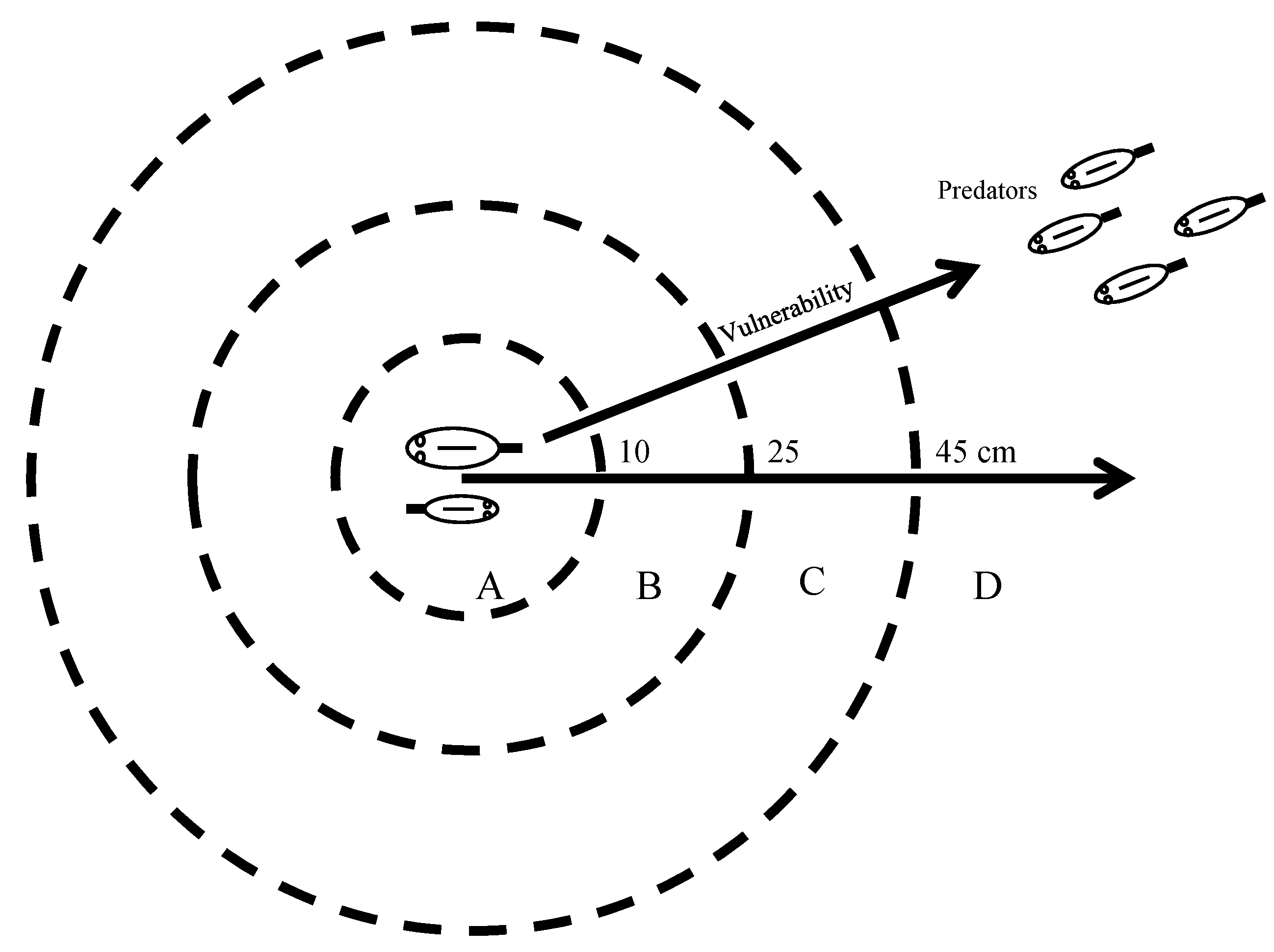 Diversity 12 00136 g014