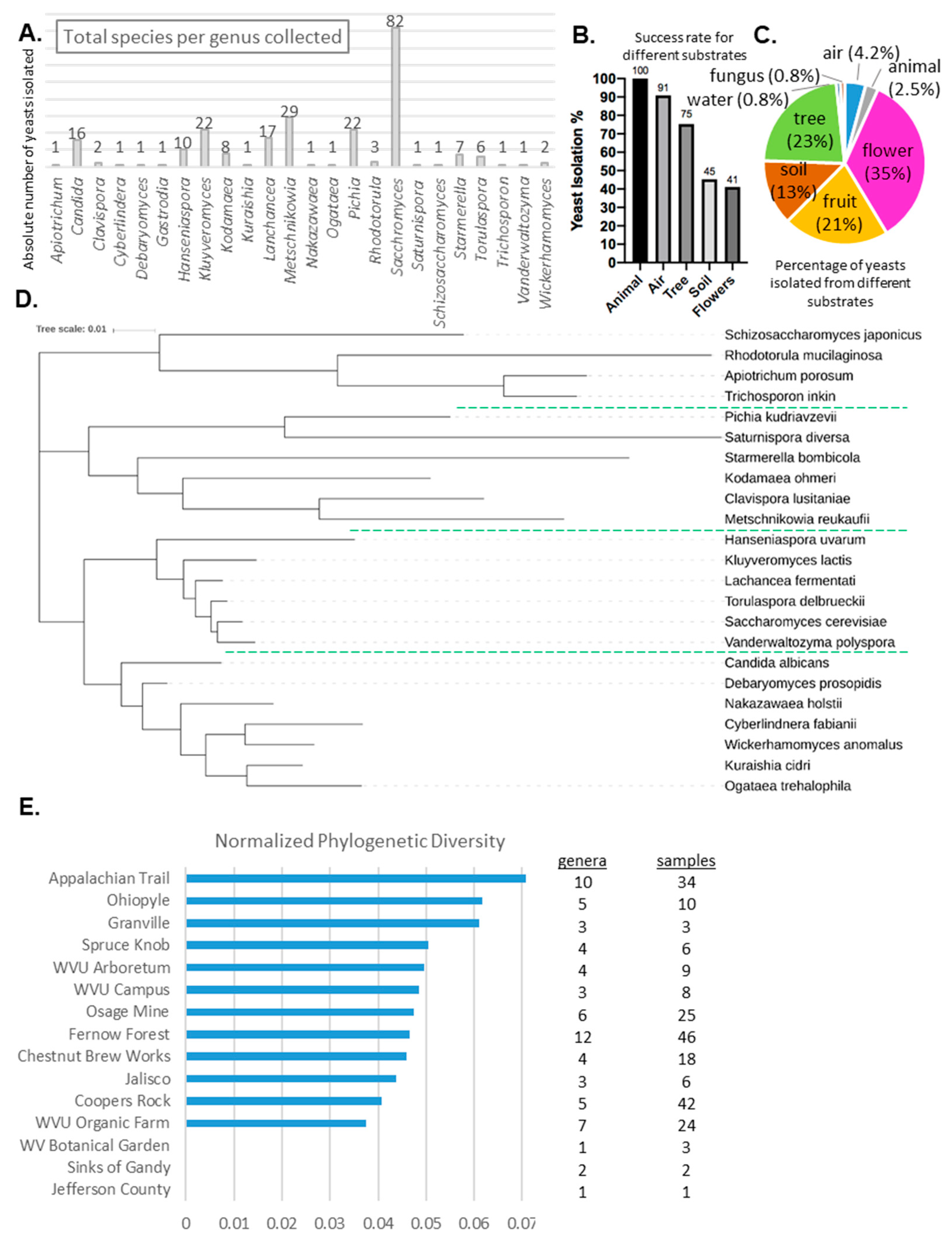 Diversity 12 00139 g003 Diversity 12 00139 g003