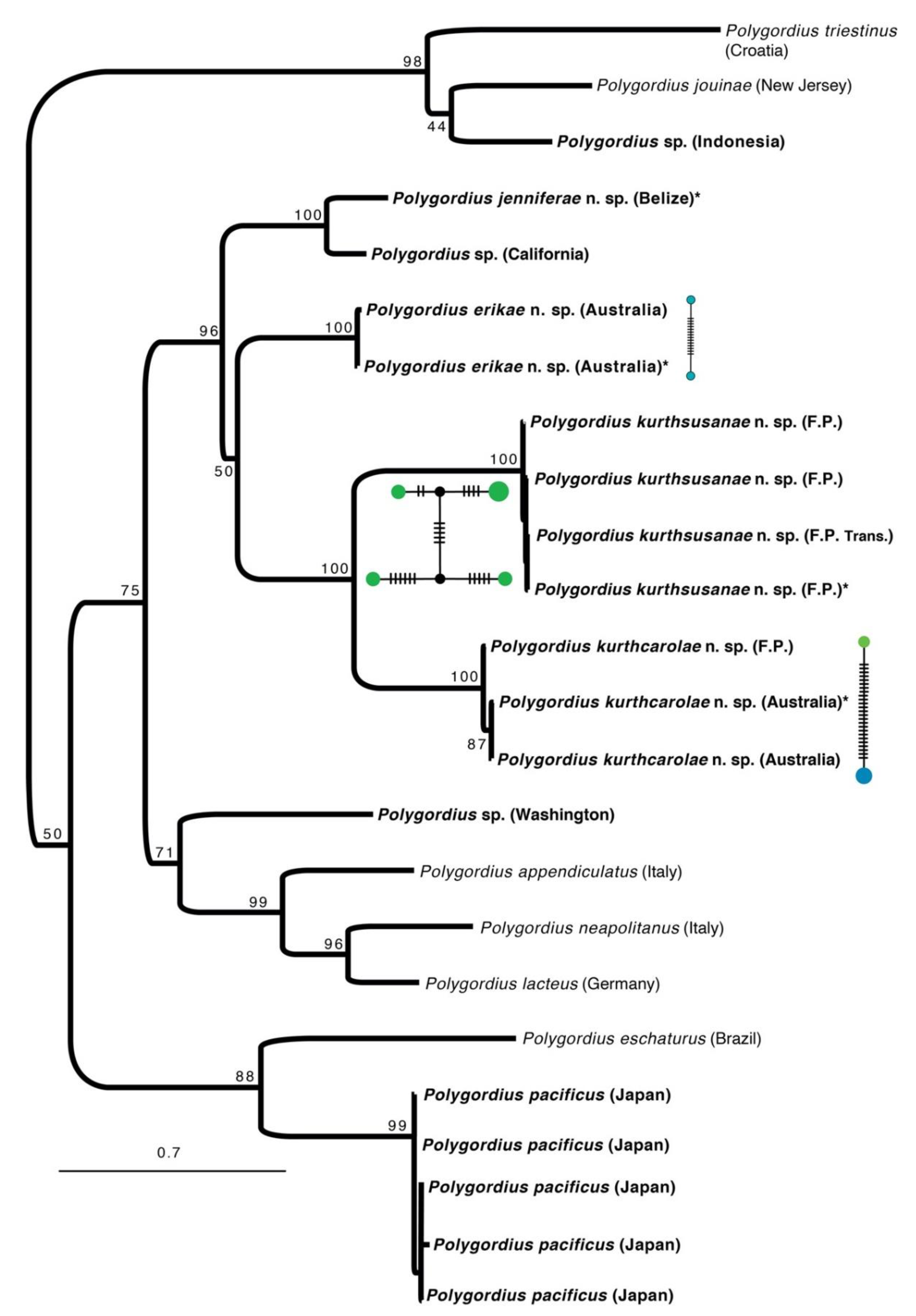 Diversity 12 00146 g002 Diversity 12 00146 g002