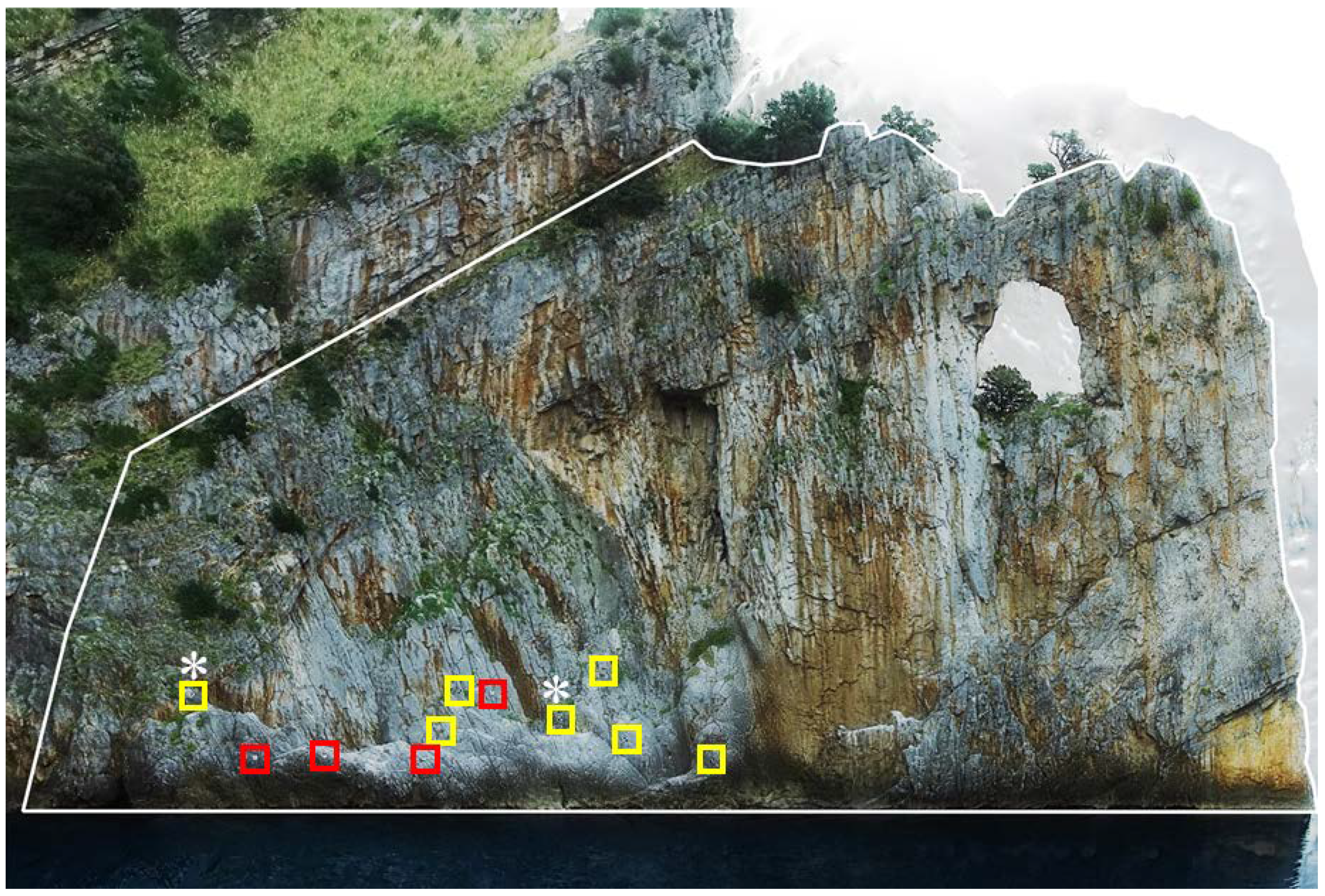 Diversity 12 00149 g001 Diversity 12 00149 g001