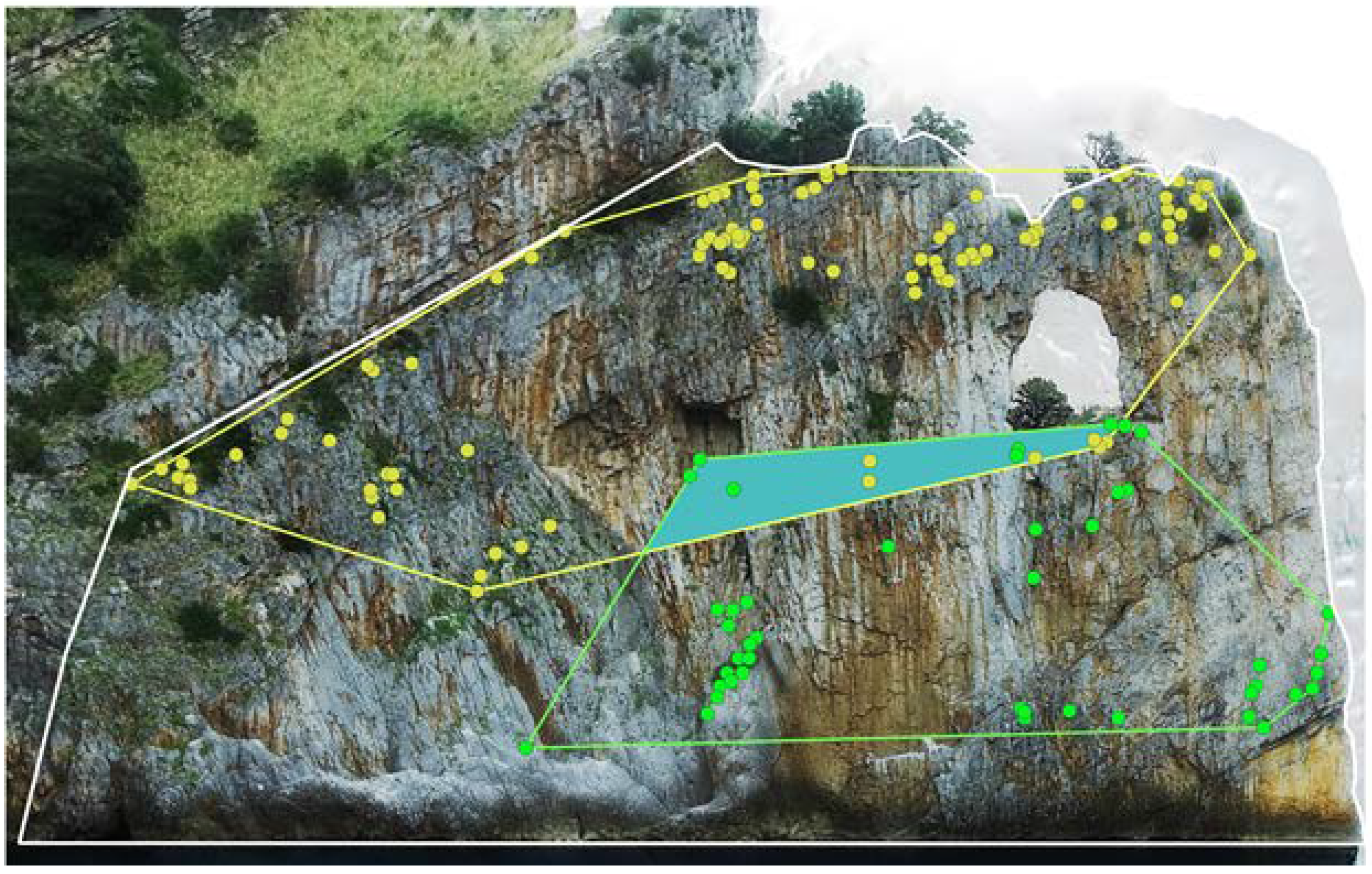 Diversity 12 00149 g004 Diversity 12 00149 g004