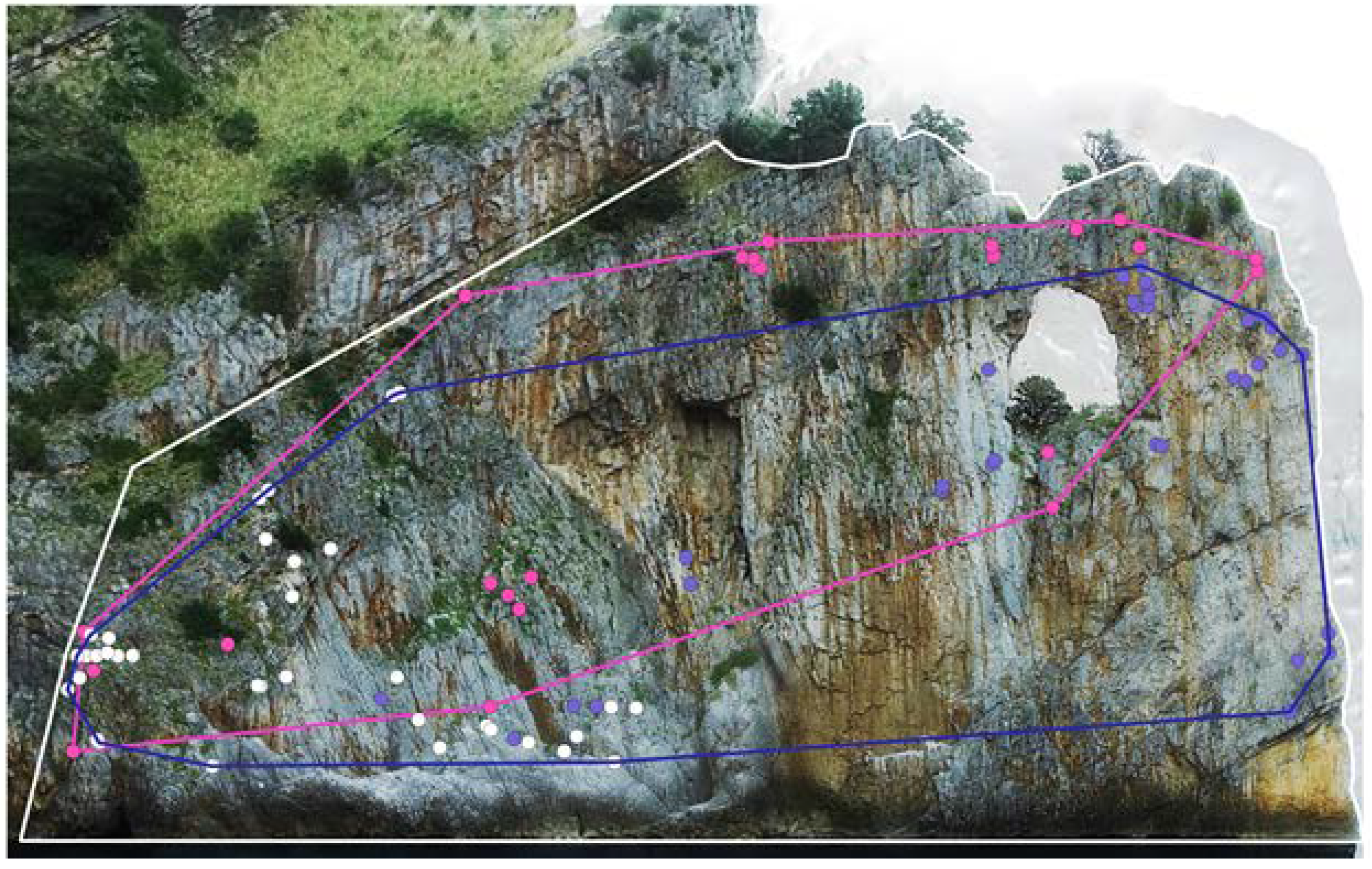 Diversity 12 00149 g005 Diversity 12 00149 g005