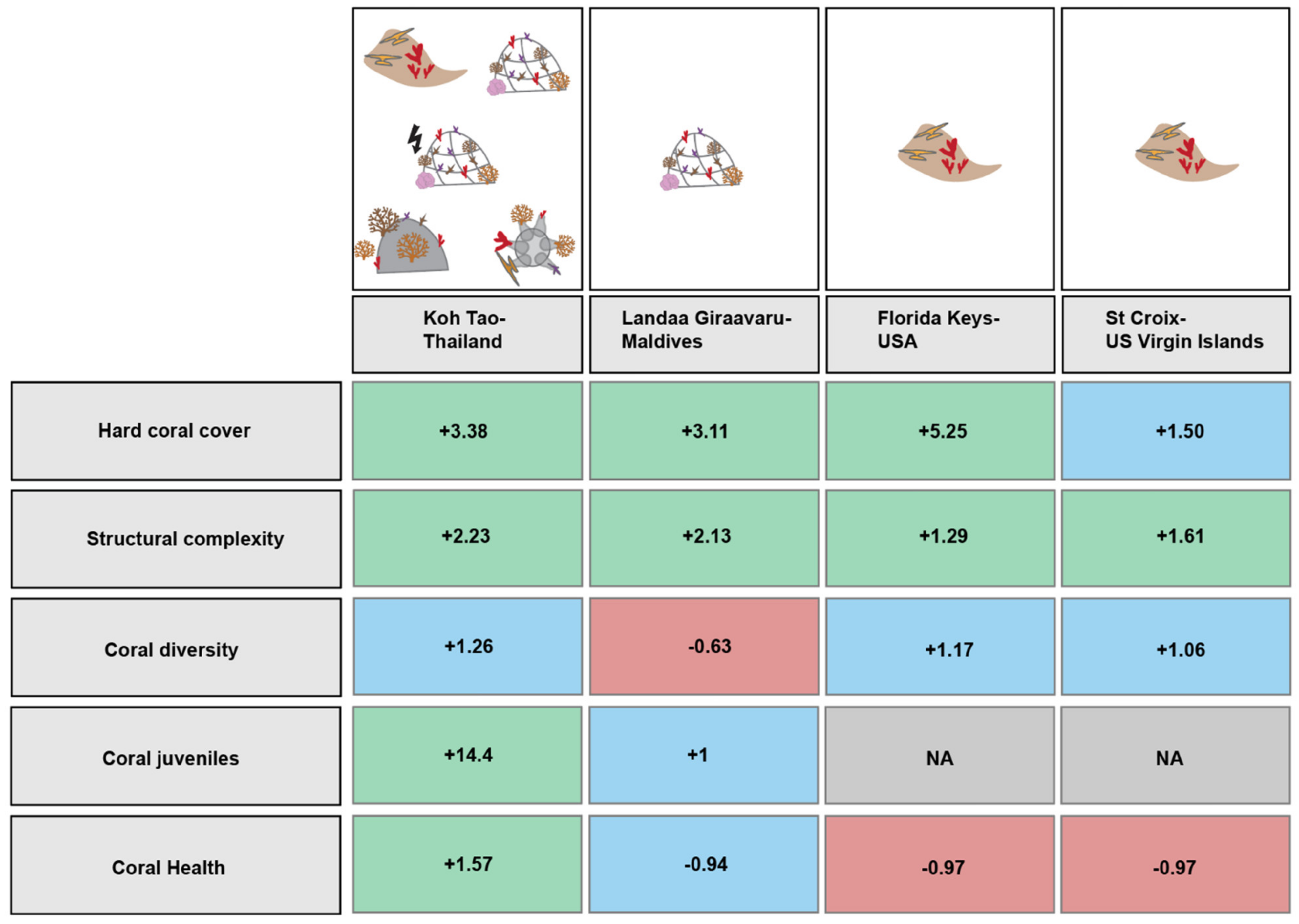 Diversity 12 00153 g011