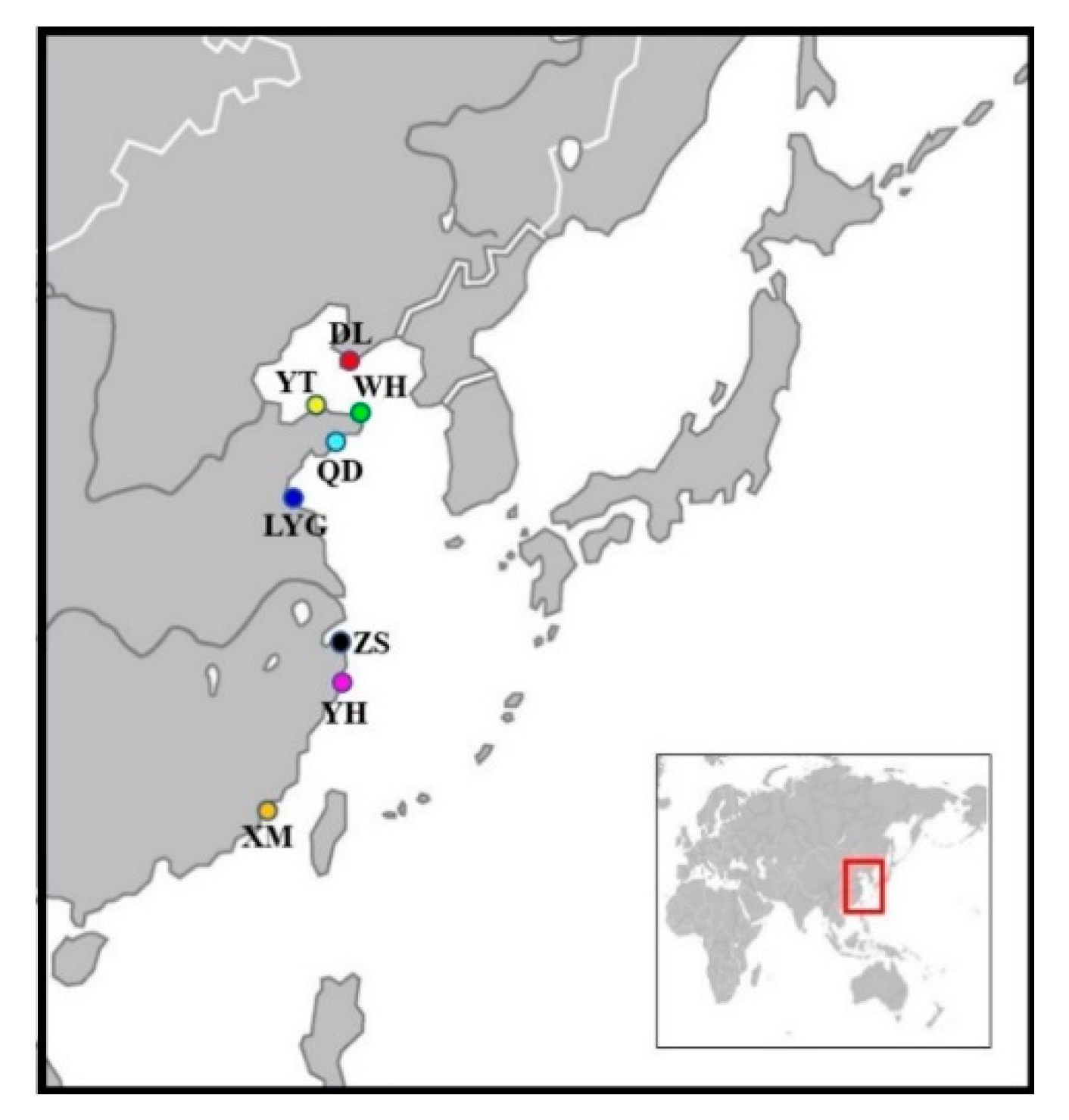 Diversity 12 00159 g001