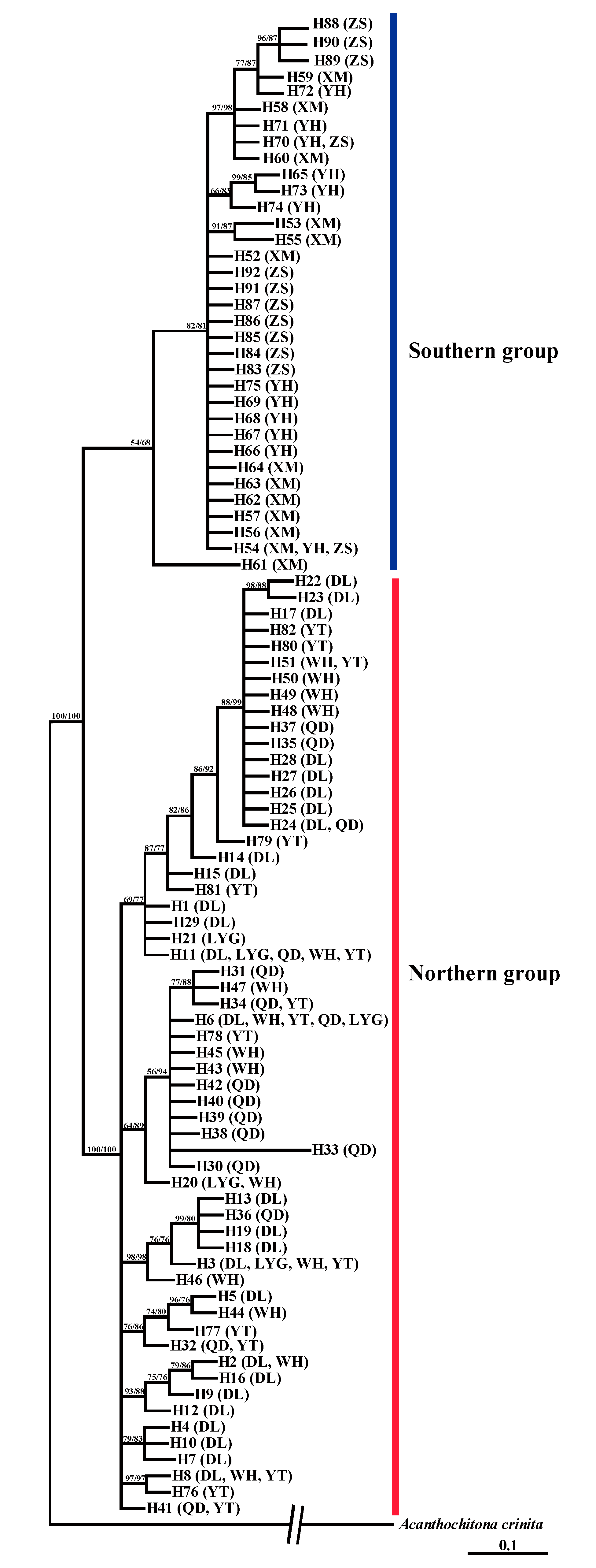 Diversity 12 00159 g002