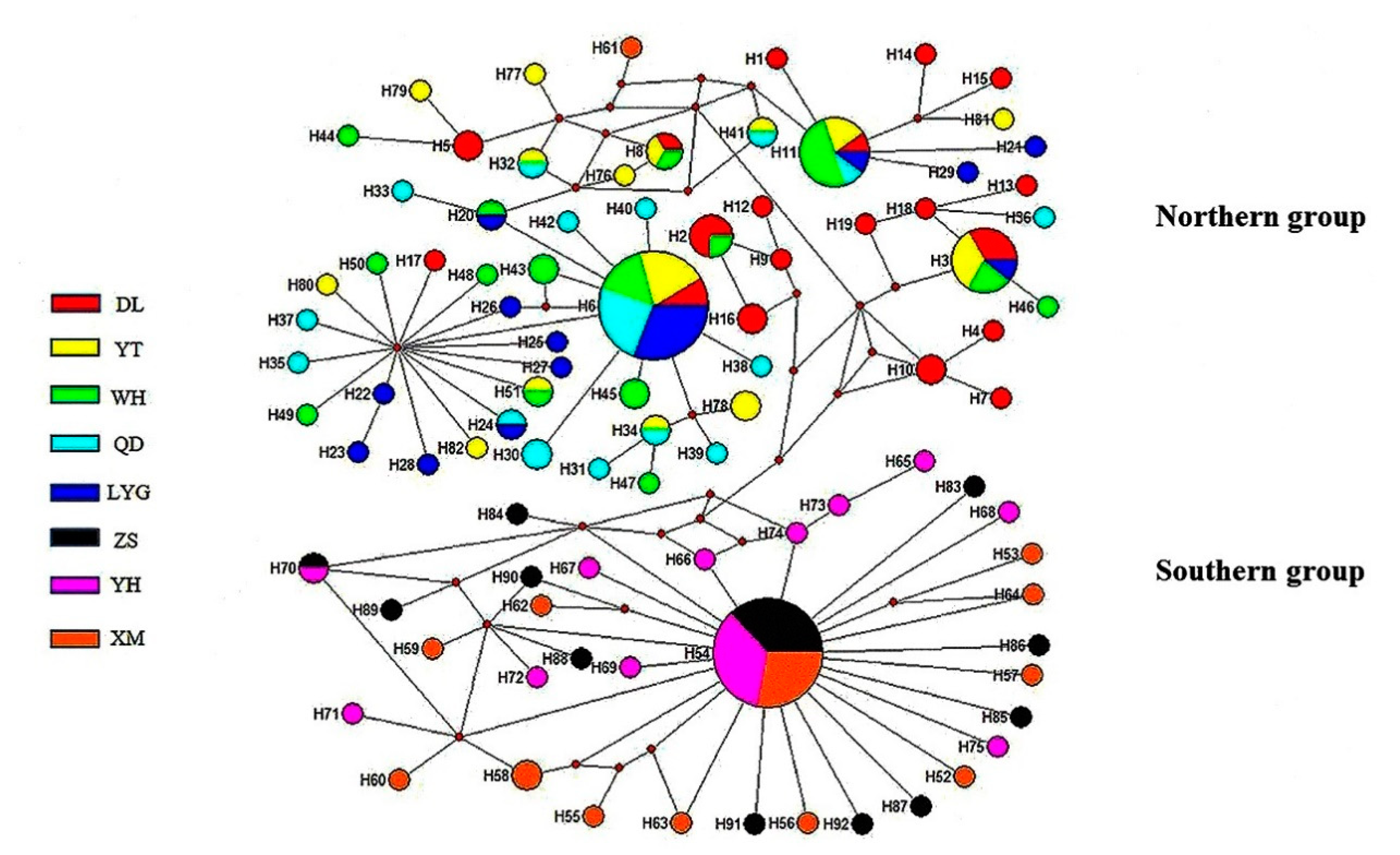 Diversity 12 00159 g003