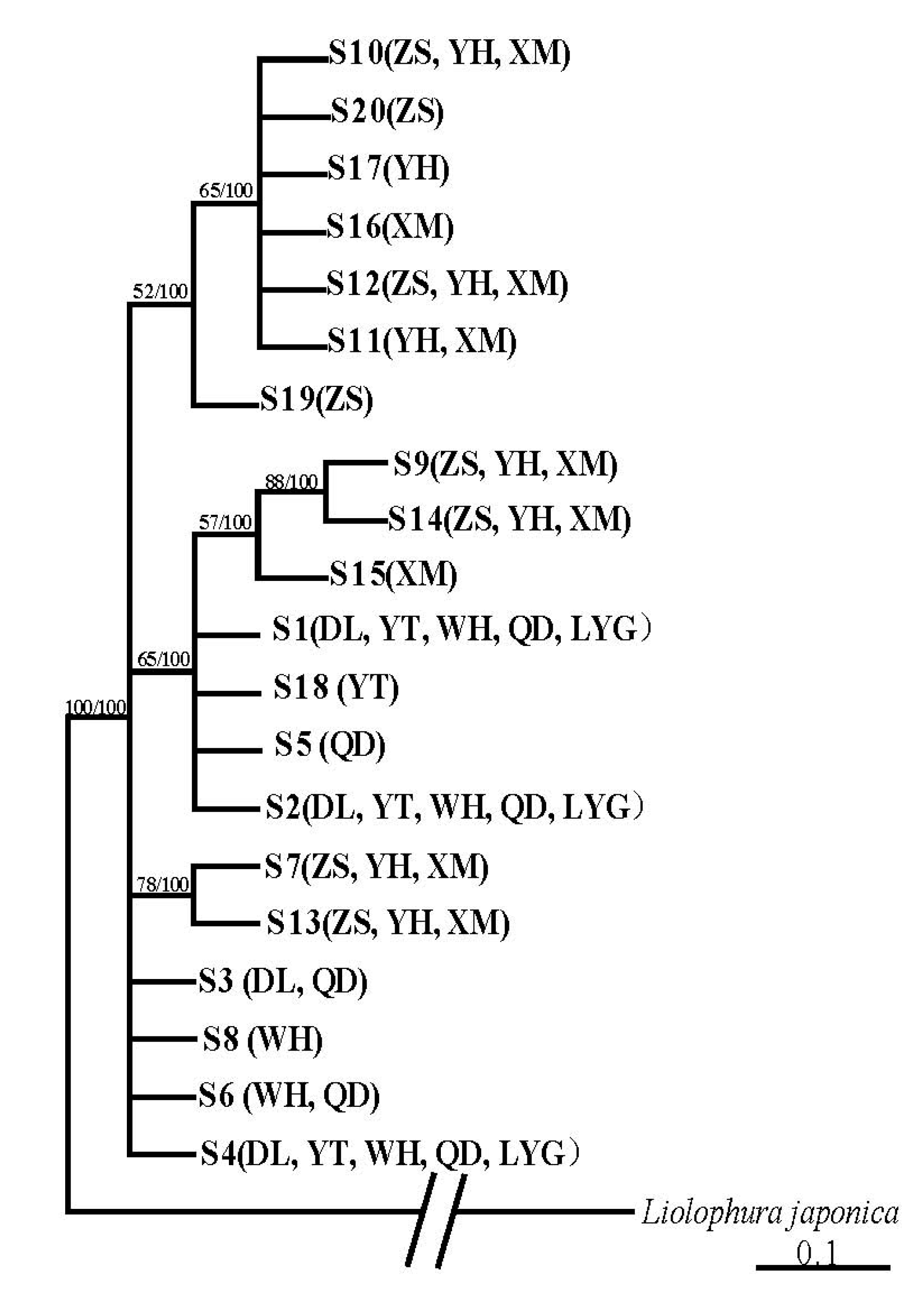 Diversity 12 00159 g004