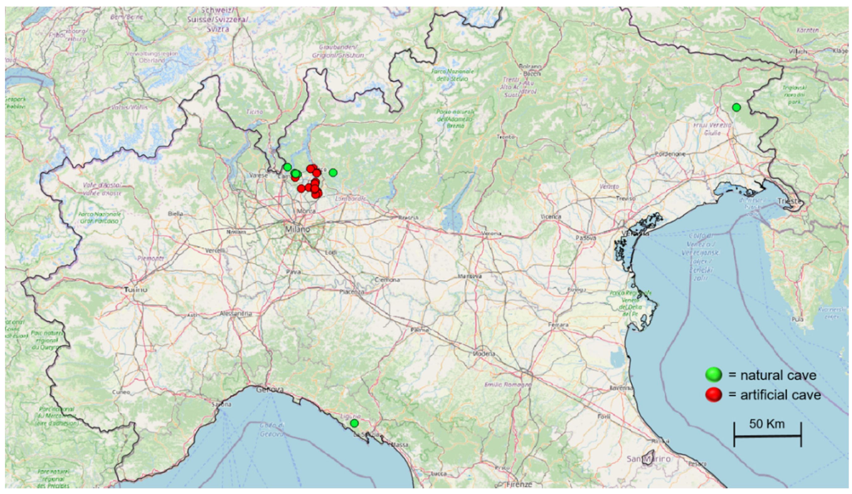 Diversity 12 00161 g001