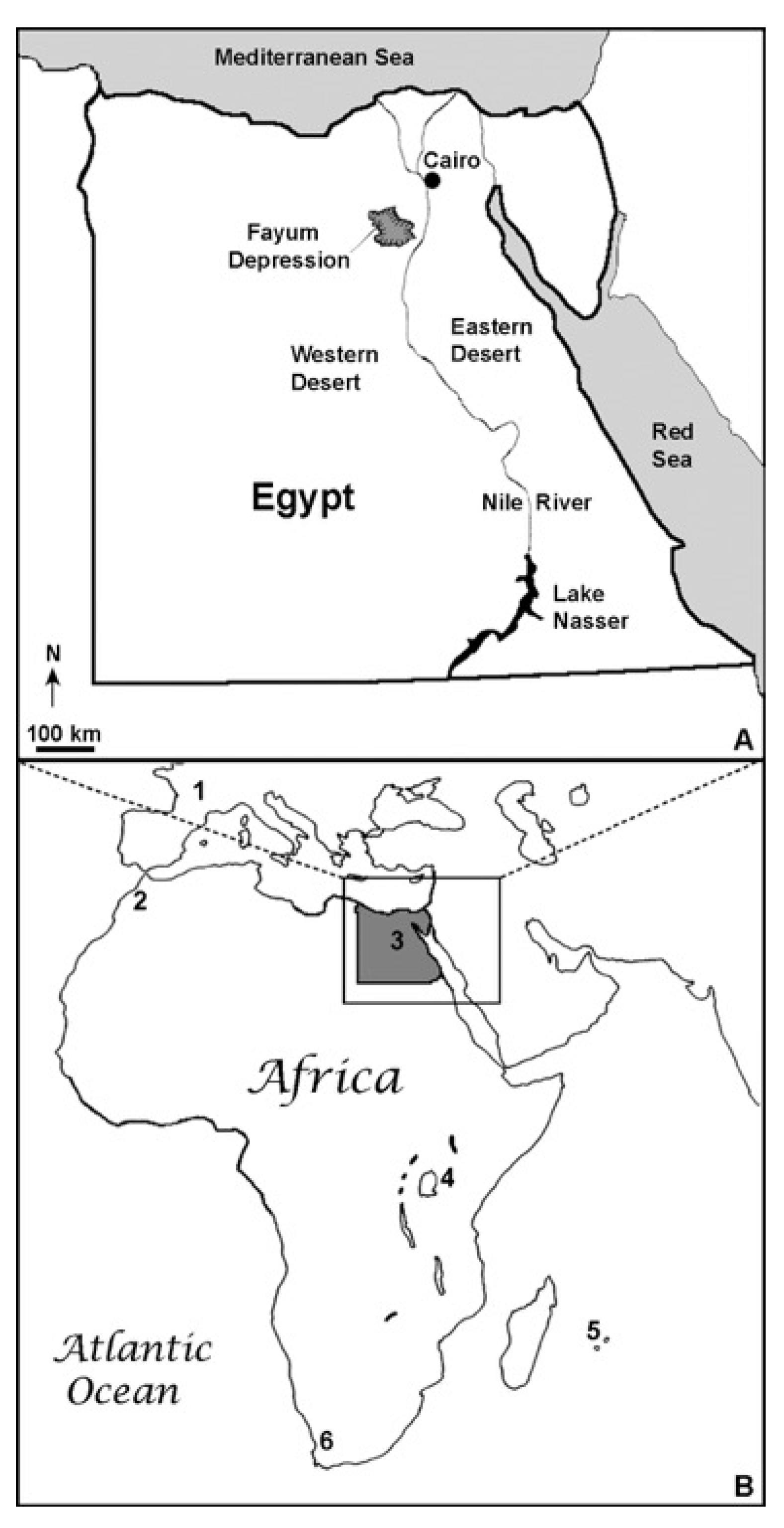 Diversity 12 00163 g001