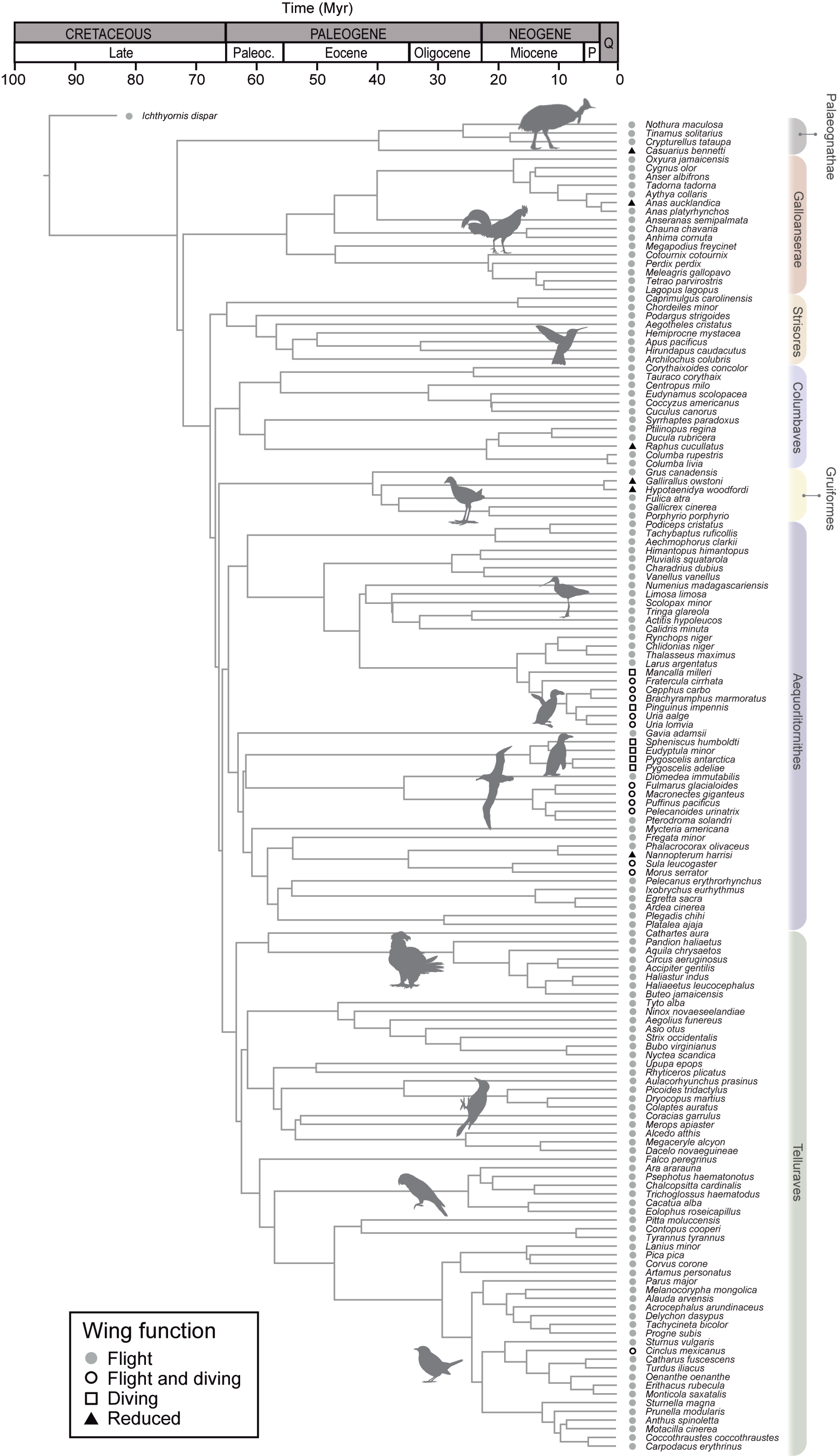 Diversity 12 00173 g002 Diversity 12 00173 g002