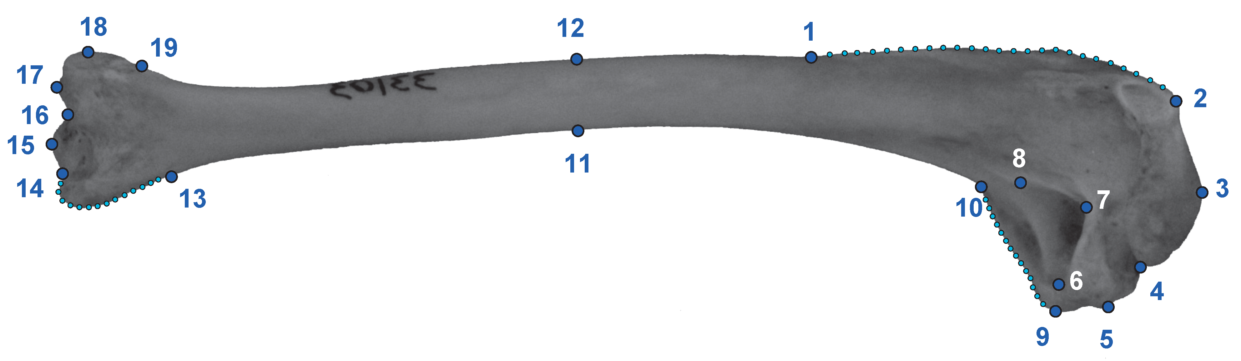 Diversity 12 00173 g003 Diversity 12 00173 g003