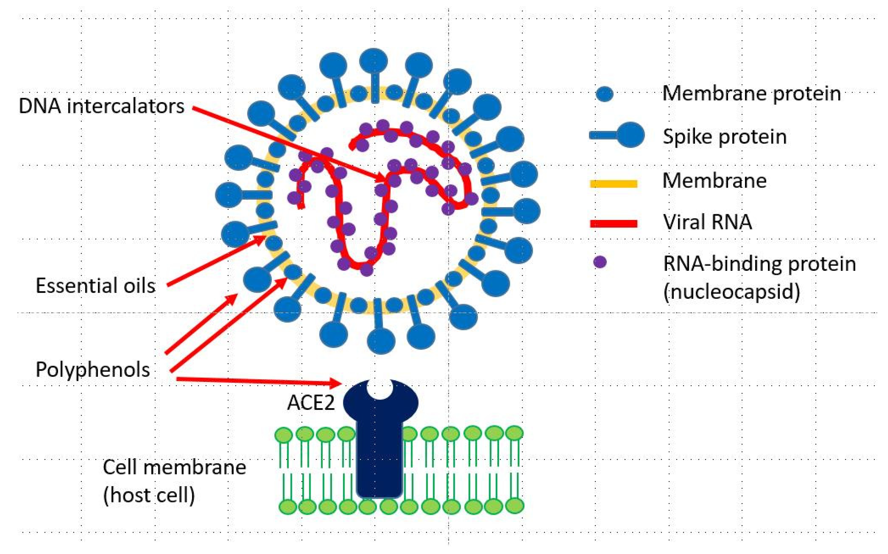 Diversity 12 00175 g001 Diversity 12 00175 g001