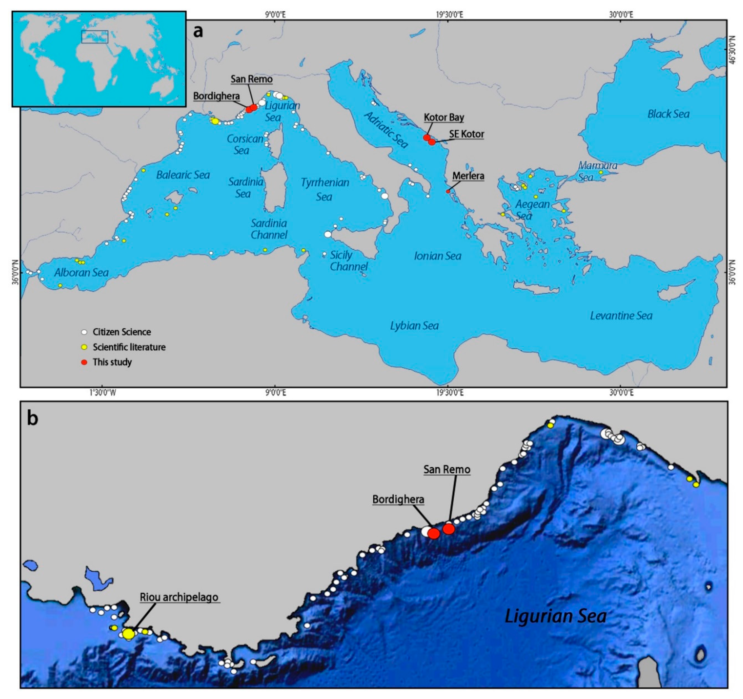 Diversity 12 00176 g005