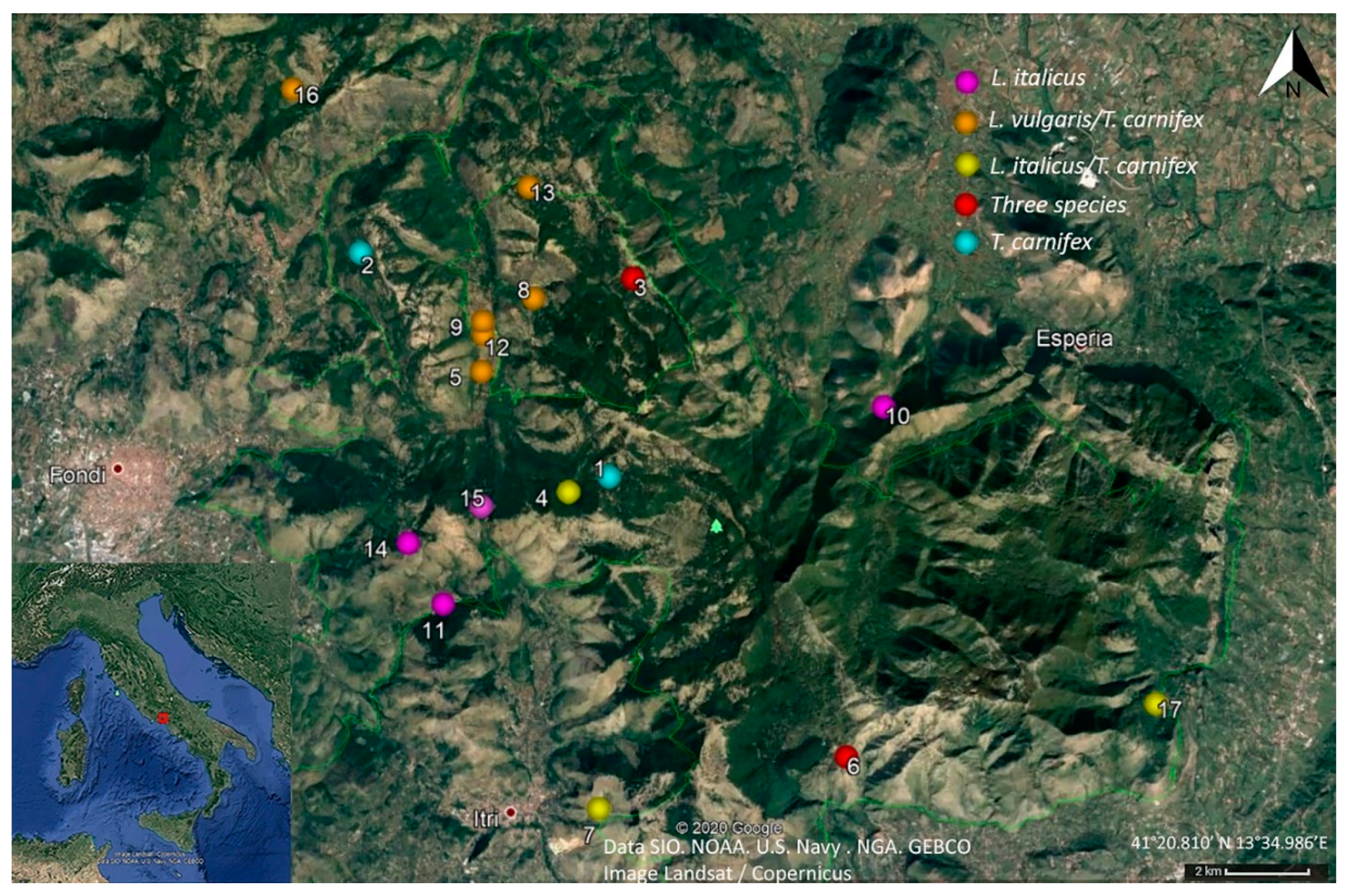 Diversity 12 00181 g001