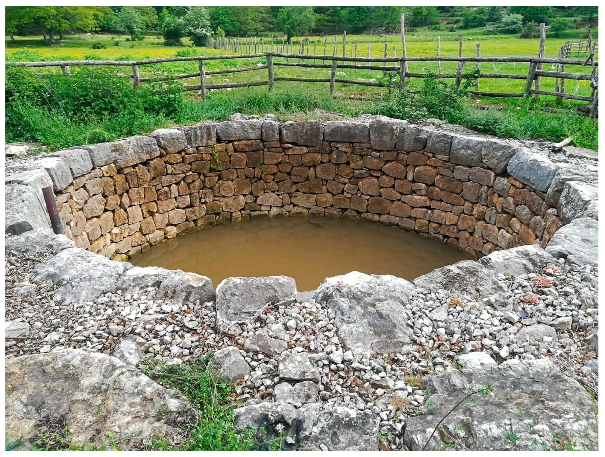 Diversity 12 00181 g002