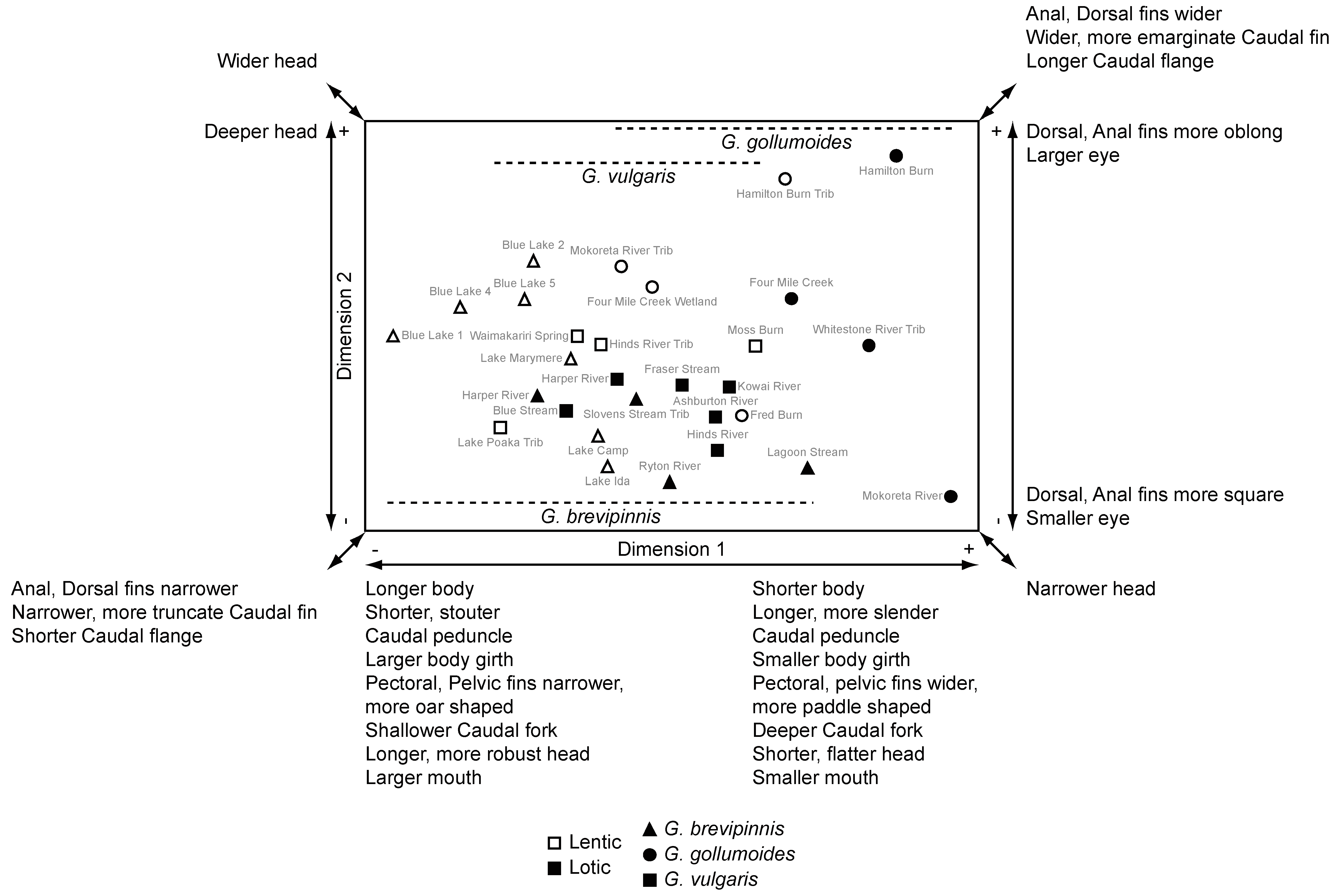 Diversity 12 00183 g004 Diversity 12 00183 g004