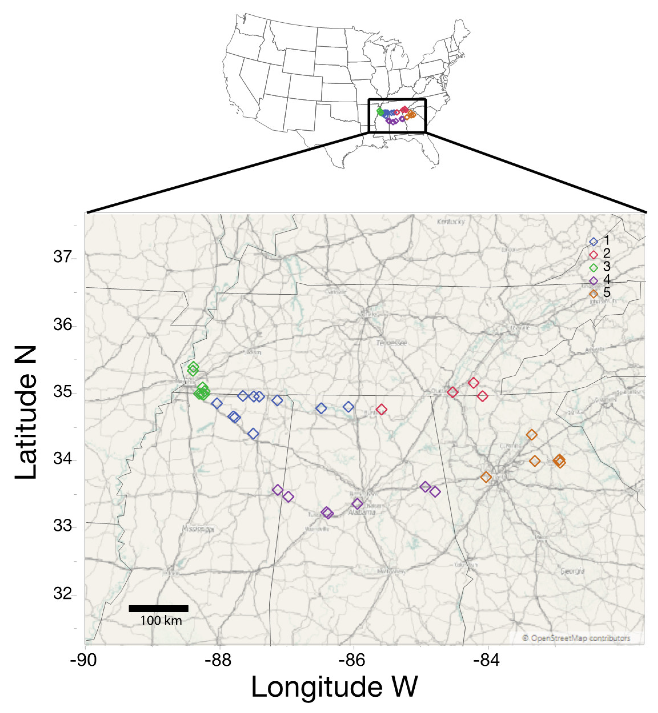 Diversity 12 00185 g001