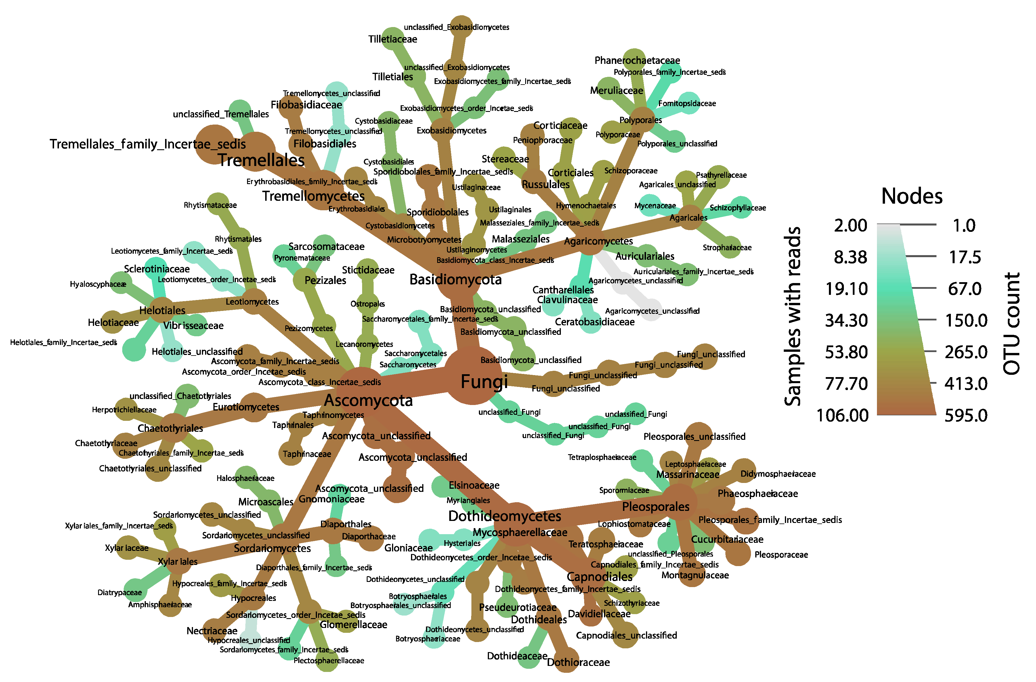 Diversity 12 00185 g002
