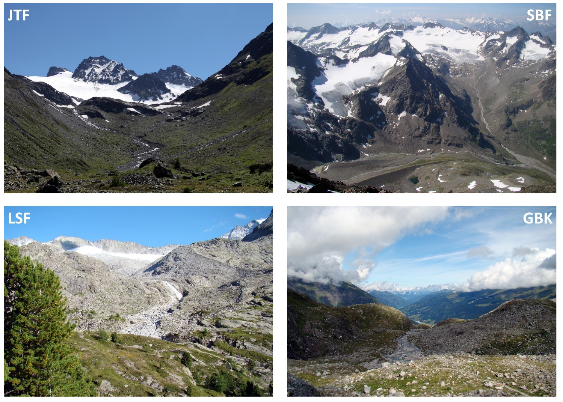 Diversity 12 00191 g003