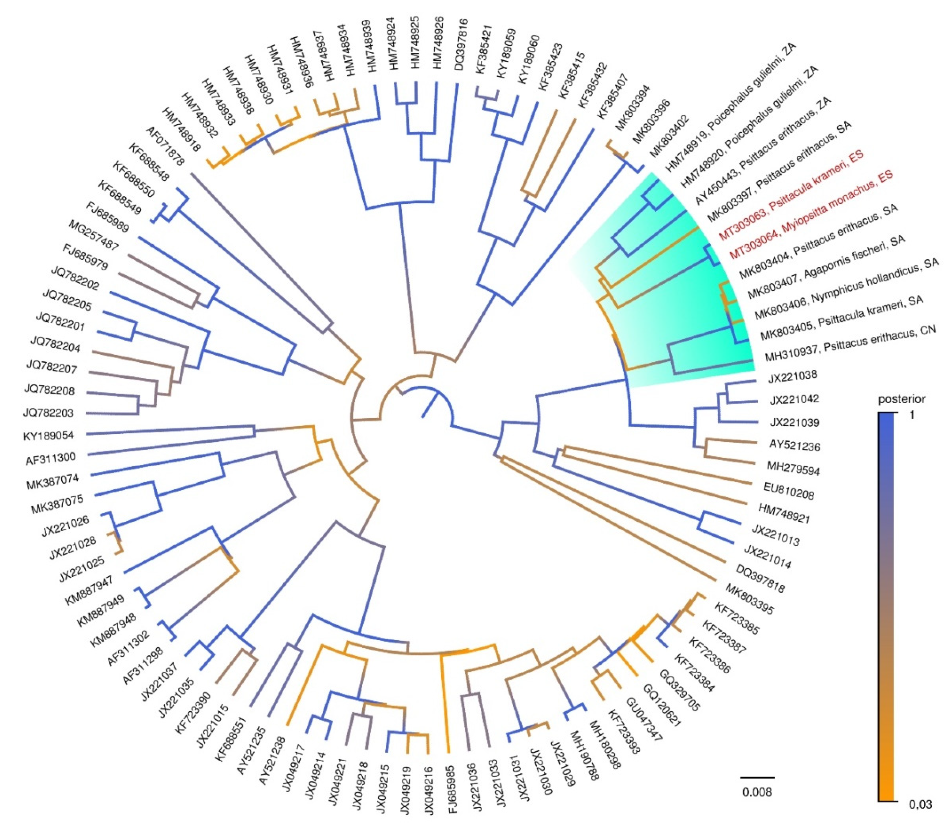 Diversity 12 00192 g001 Diversity 12 00192 g001