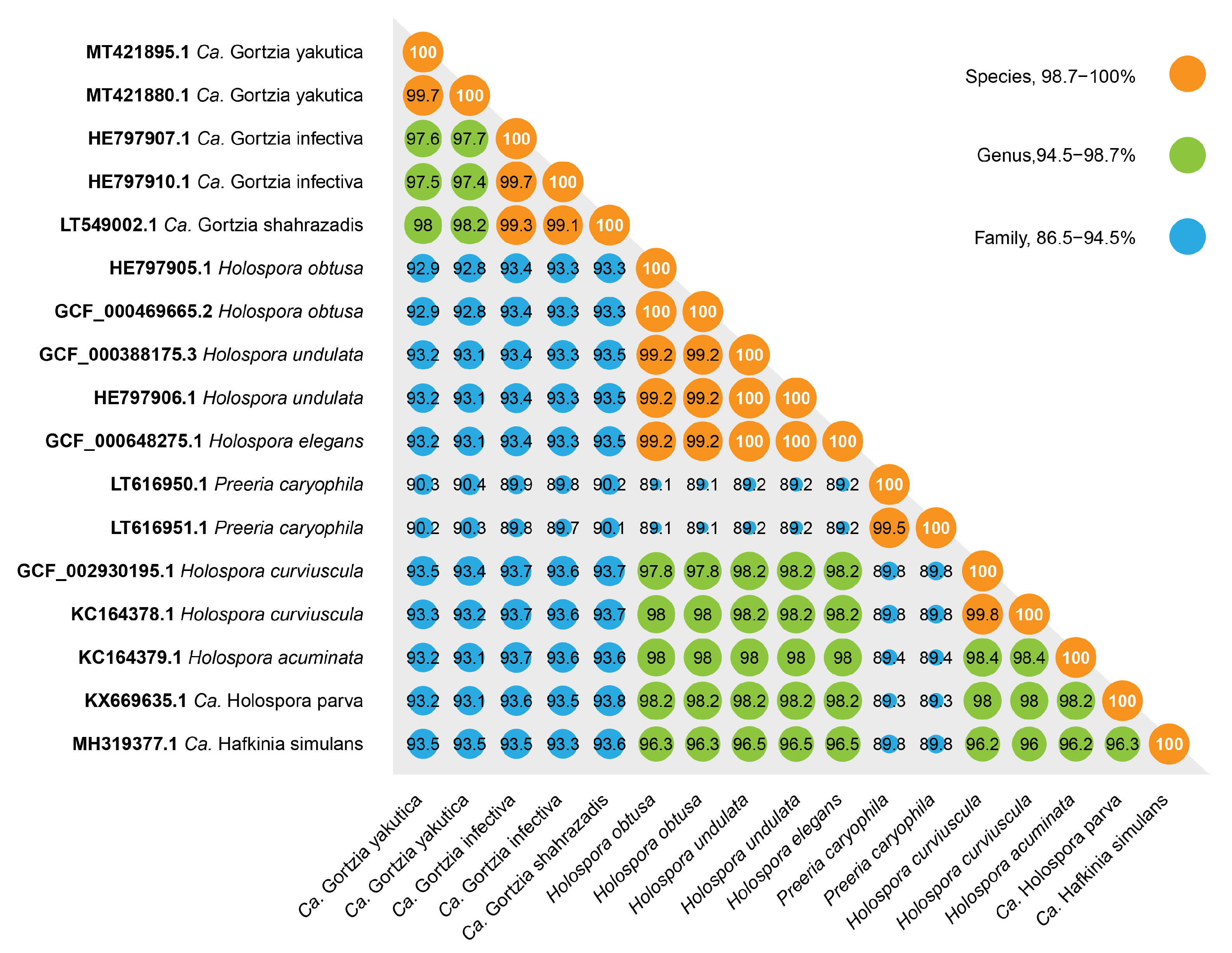 Diversity 12 00198 g005 Diversity 12 00198 g005