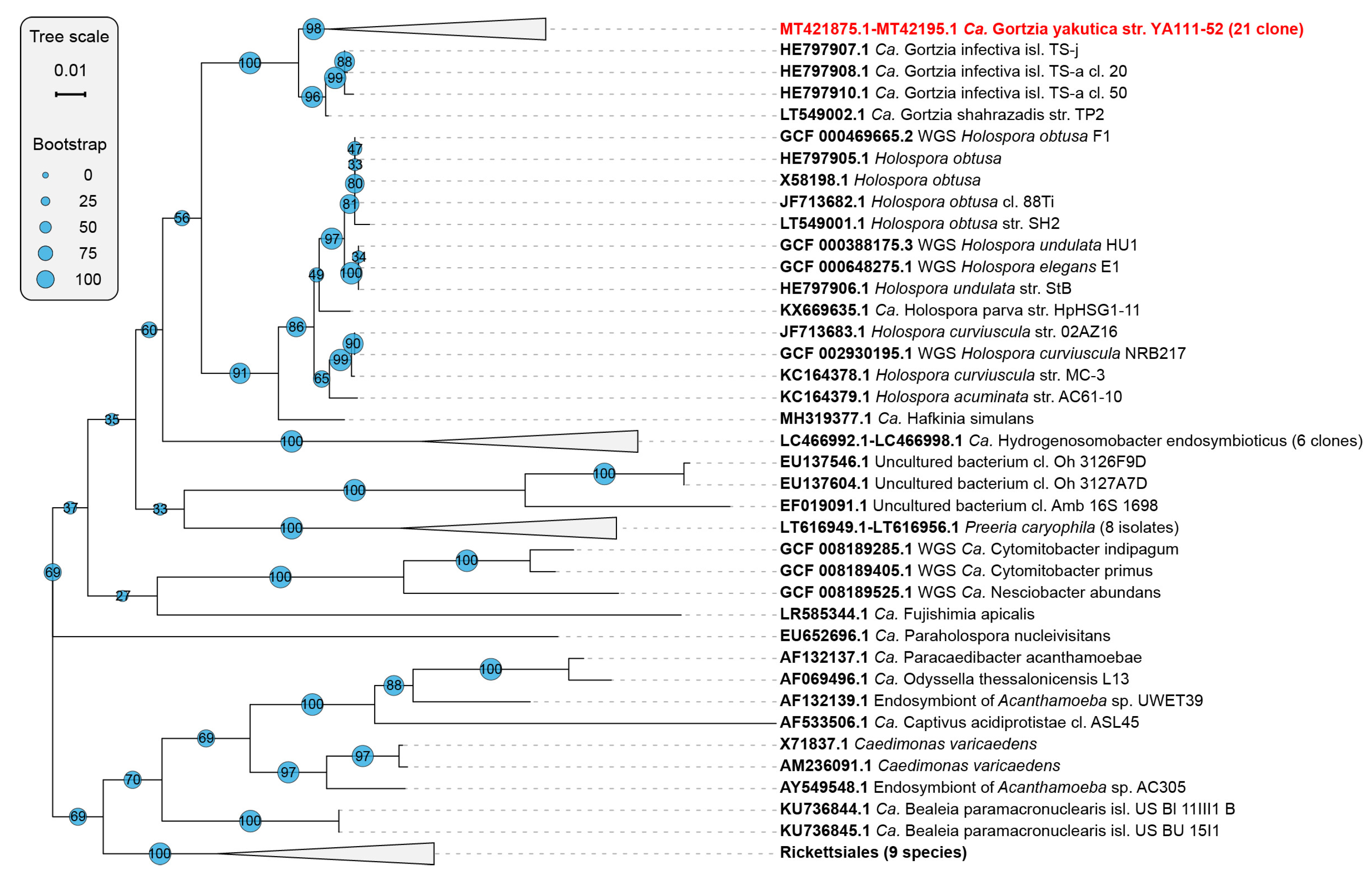 Diversity 12 00198 g006 Diversity 12 00198 g006