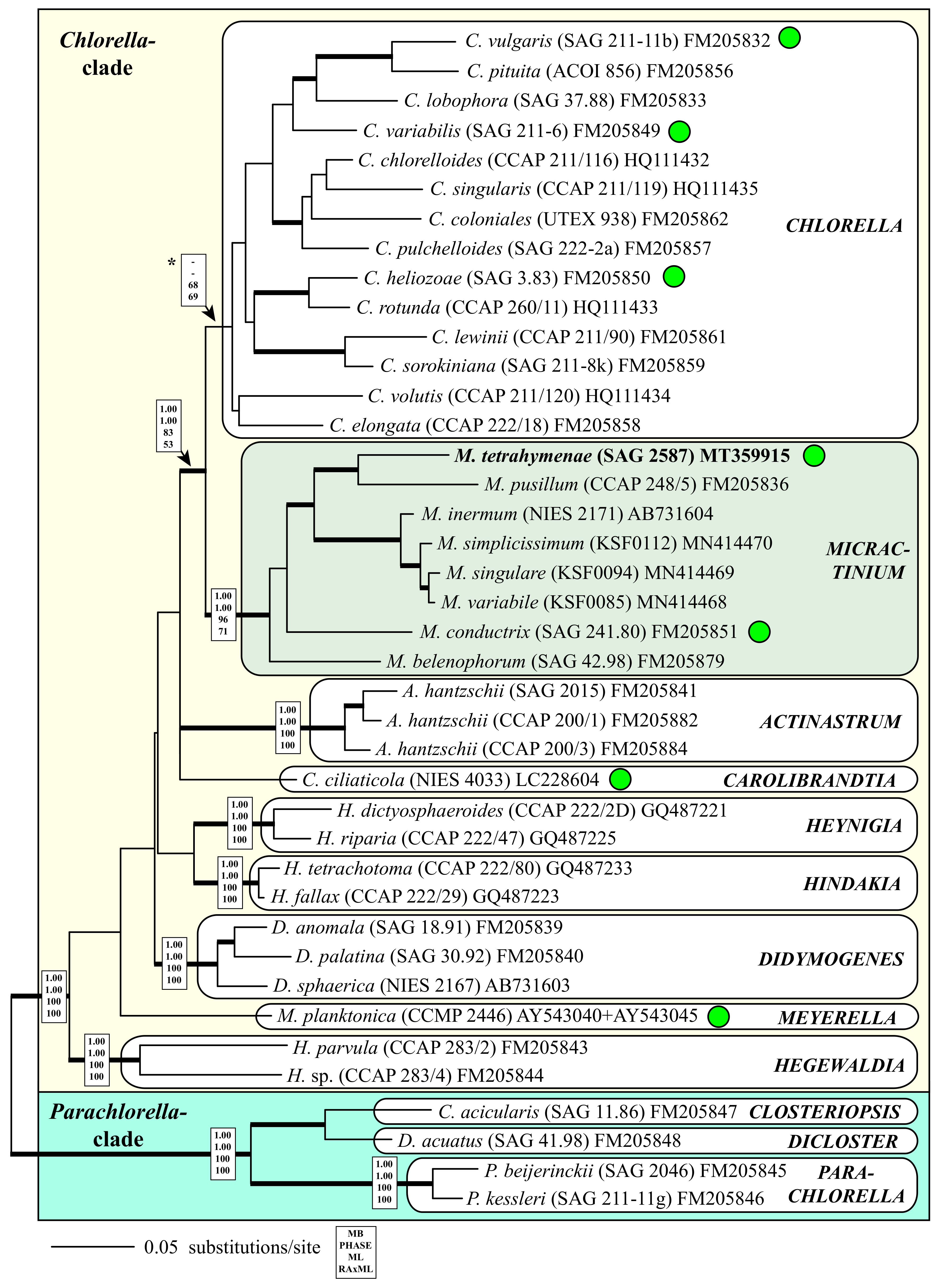 Diversity 12 00200 g002 Diversity 12 00200 g002