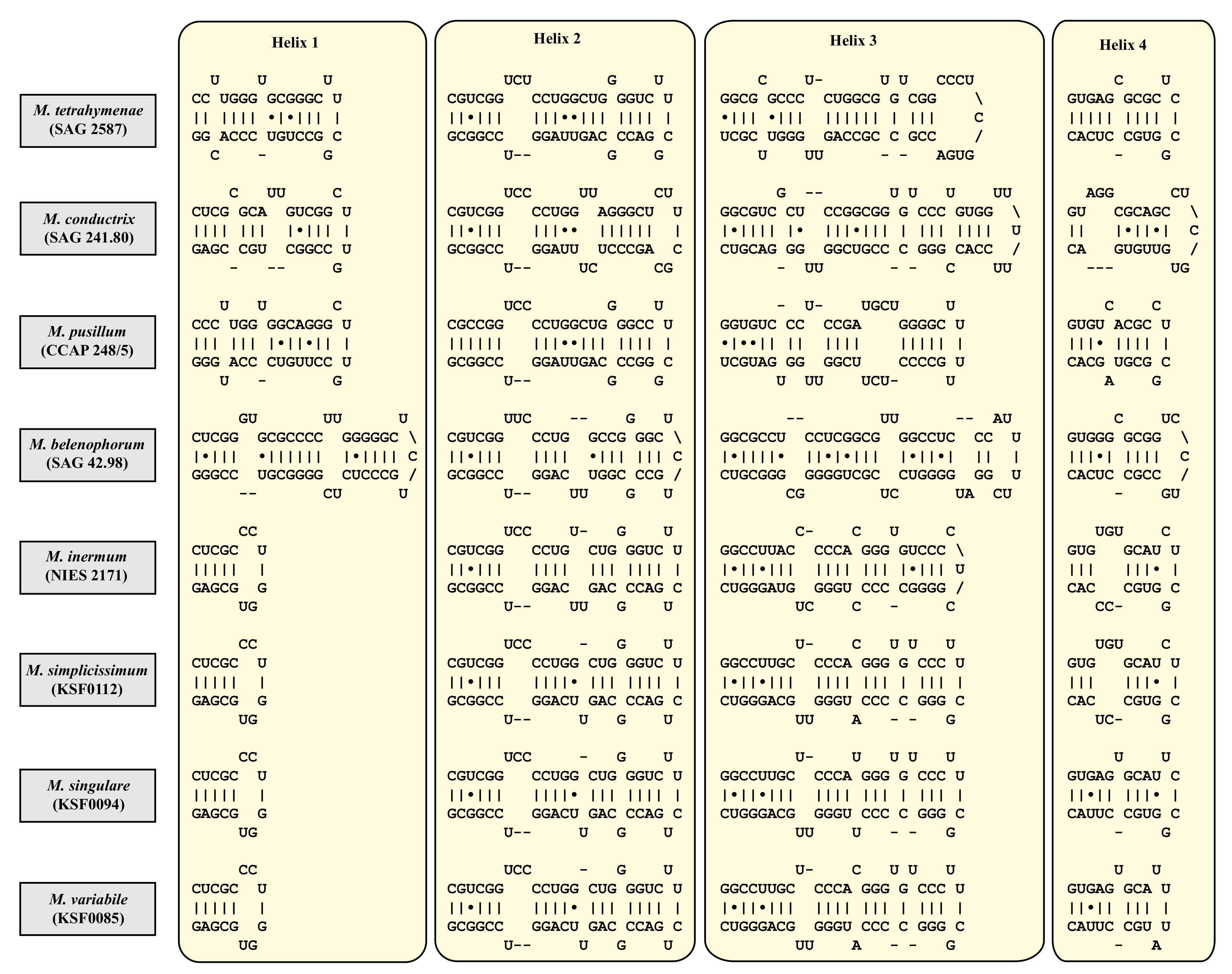 Diversity 12 00200 g005 Diversity 12 00200 g005
