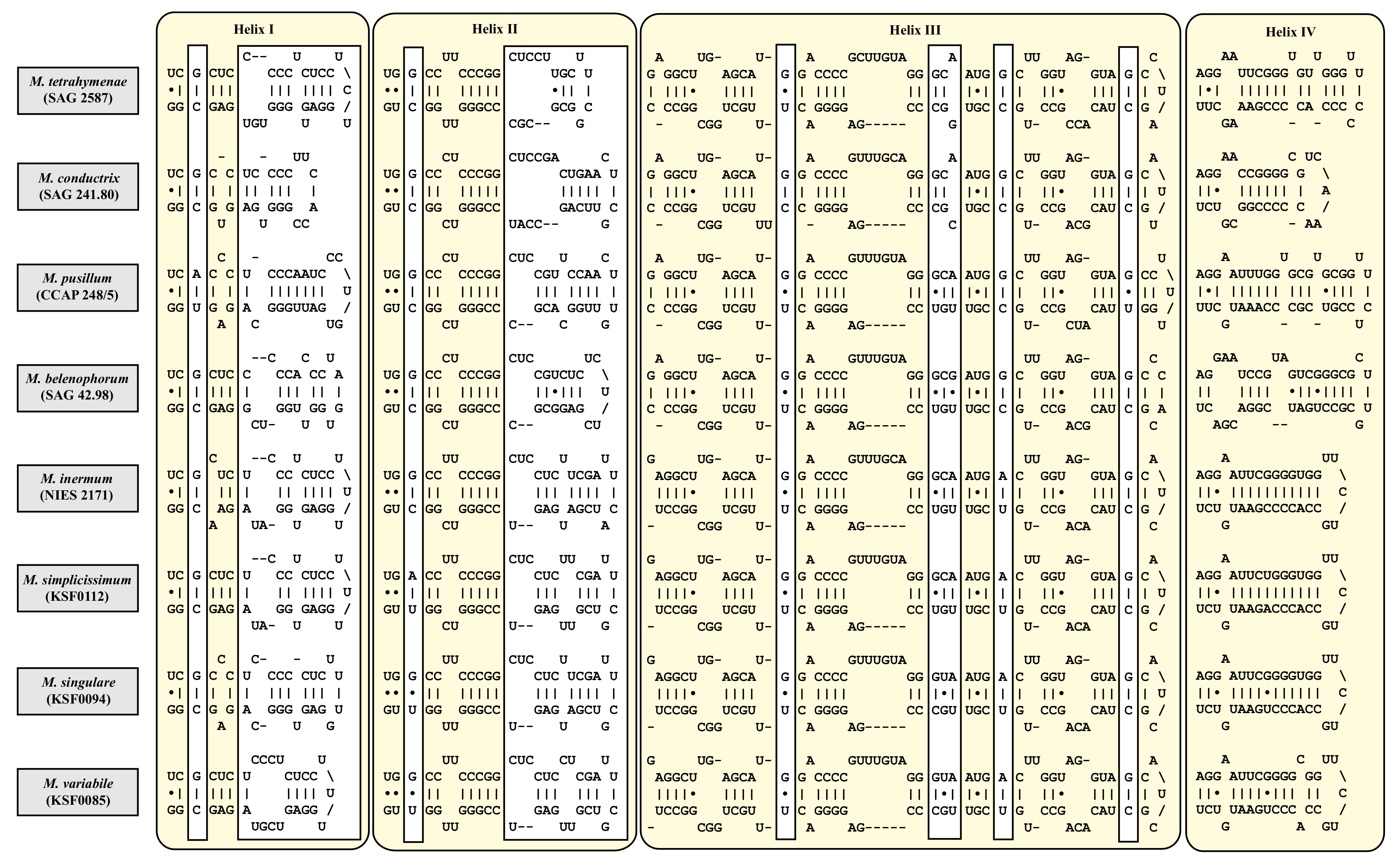 Diversity 12 00200 g006 Diversity 12 00200 g006