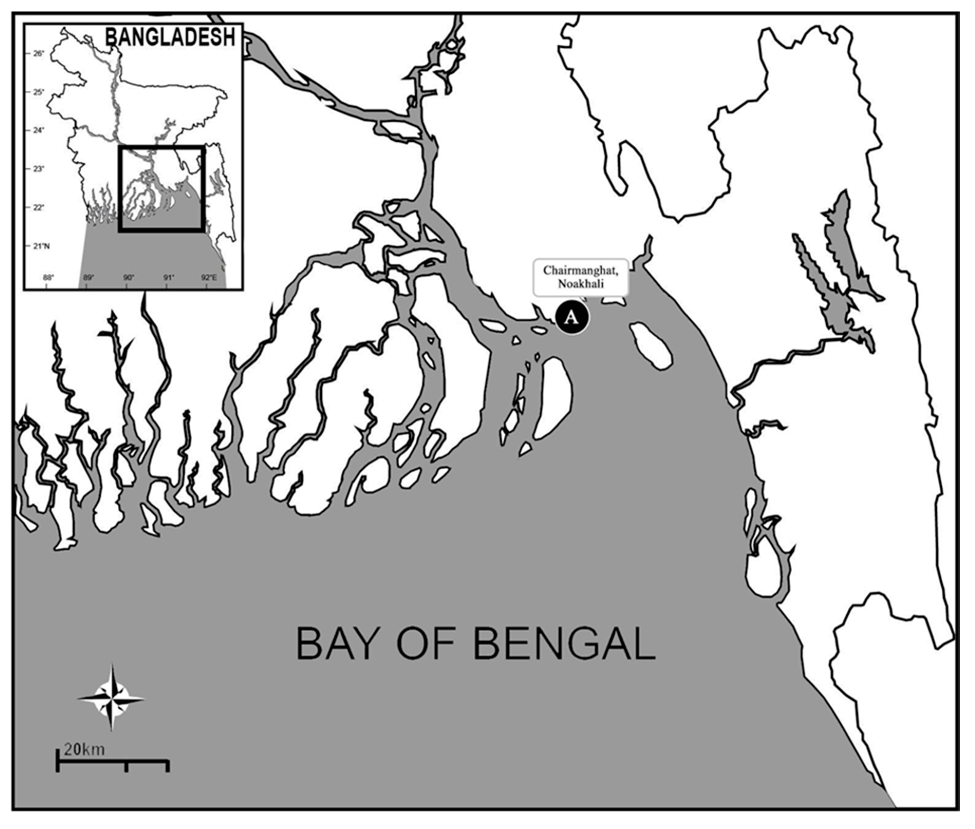 Diversity 12 00213 g001