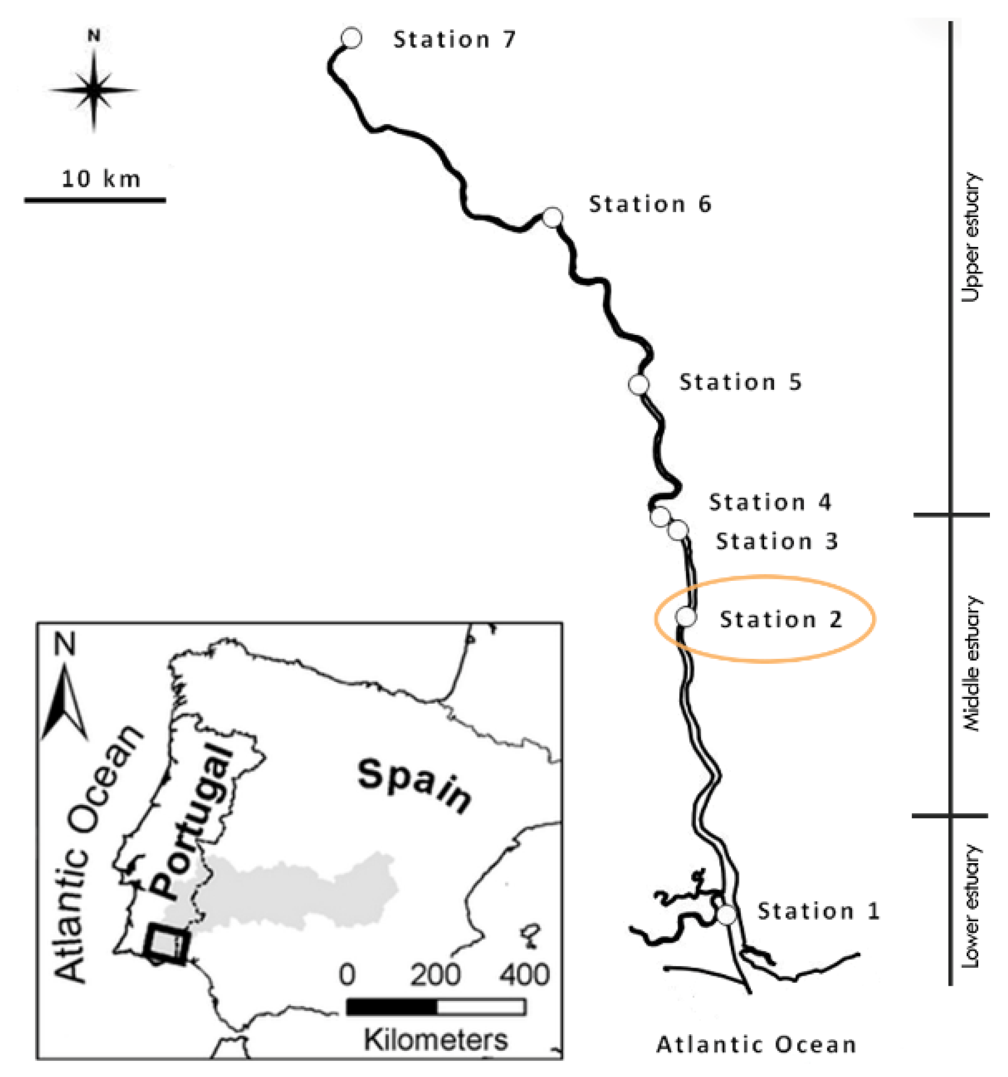 Diversity 12 00214 g001 Diversity 12 00214 g001