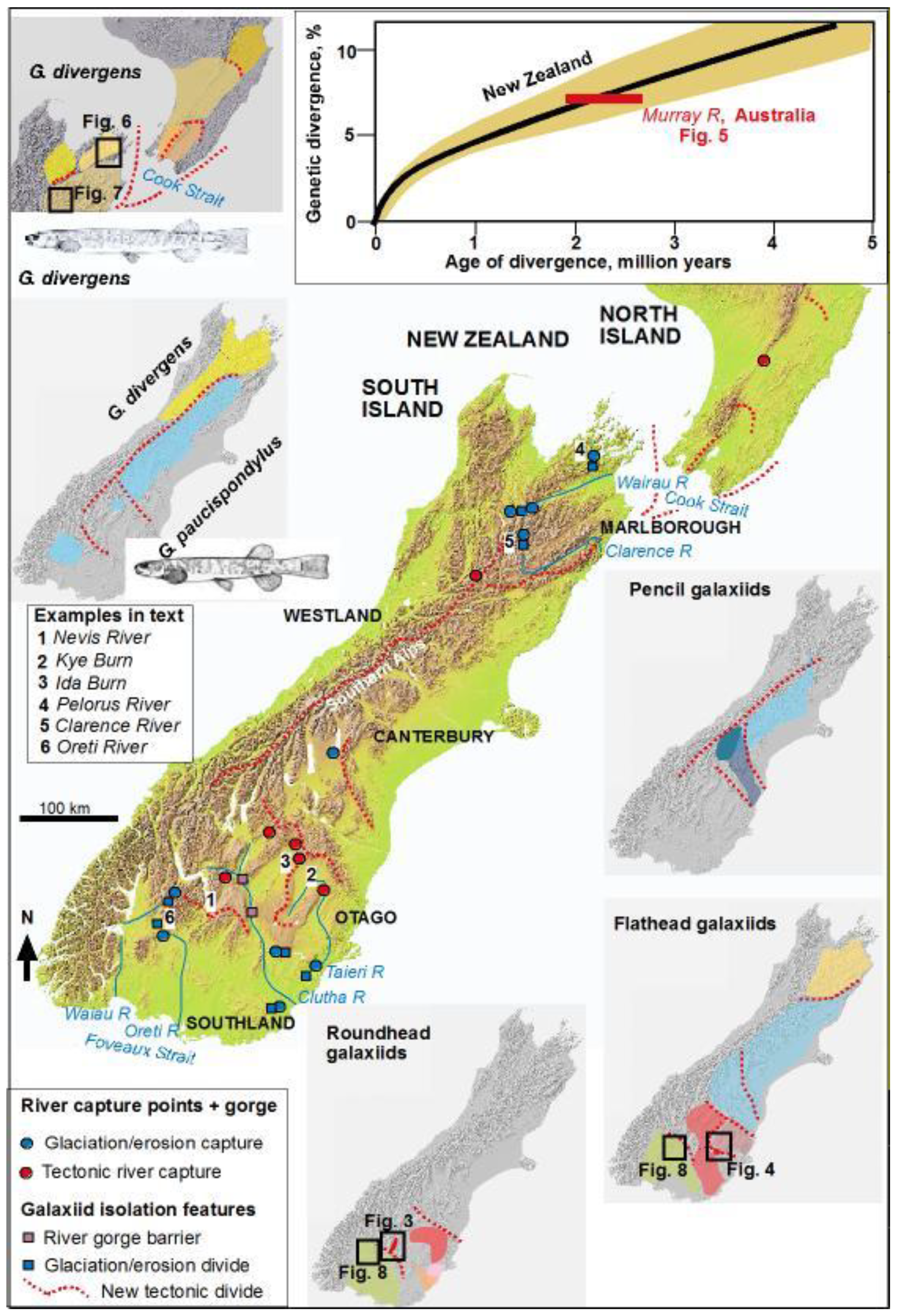 Diversity 12 00216 g001 Diversity 12 00216 g001