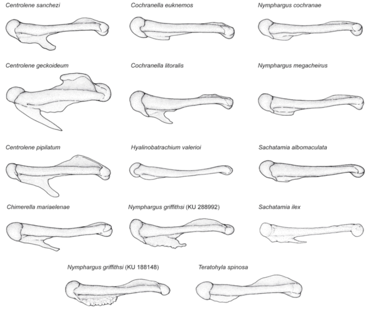 Diversity 12 00222 g014