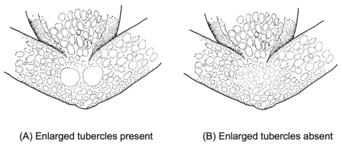 Diversity 12 00222 g015
