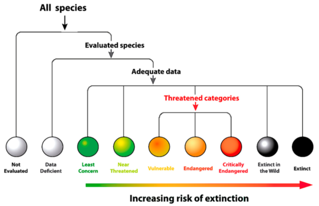 Diversity 12 00222 g017