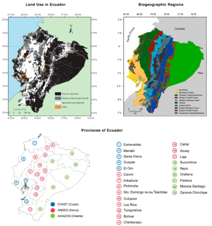 Diversity Free Full-Text Glassfrogs of Ecuador Diversity, Evolution, and Conservation pic