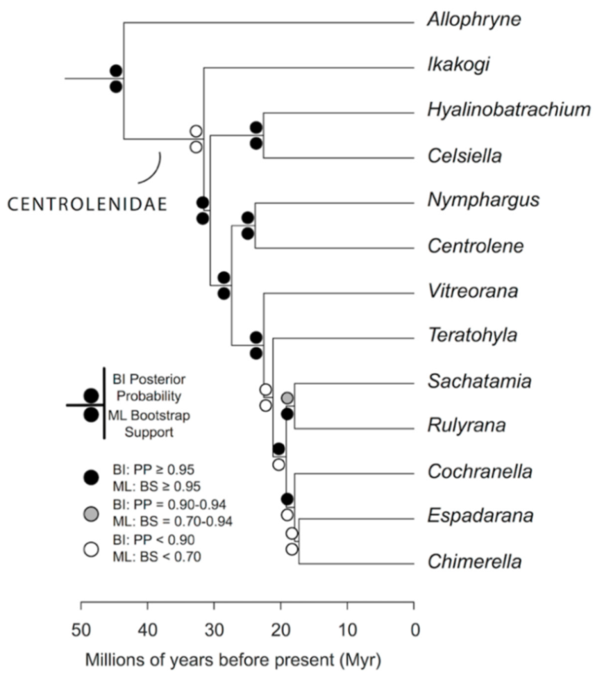 Diversity 12 00222 g019