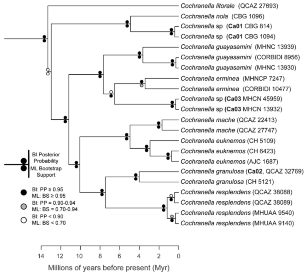 Diversity 12 00222 g069
