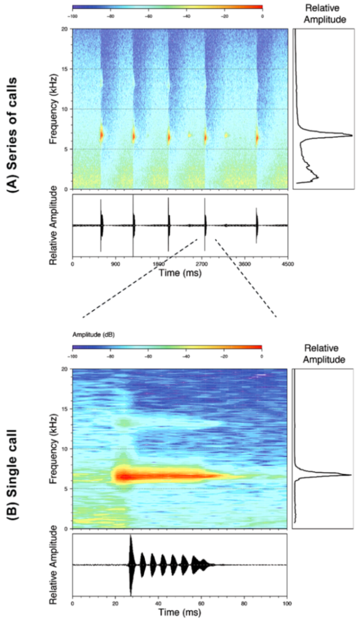Diversity 12 00222 g086