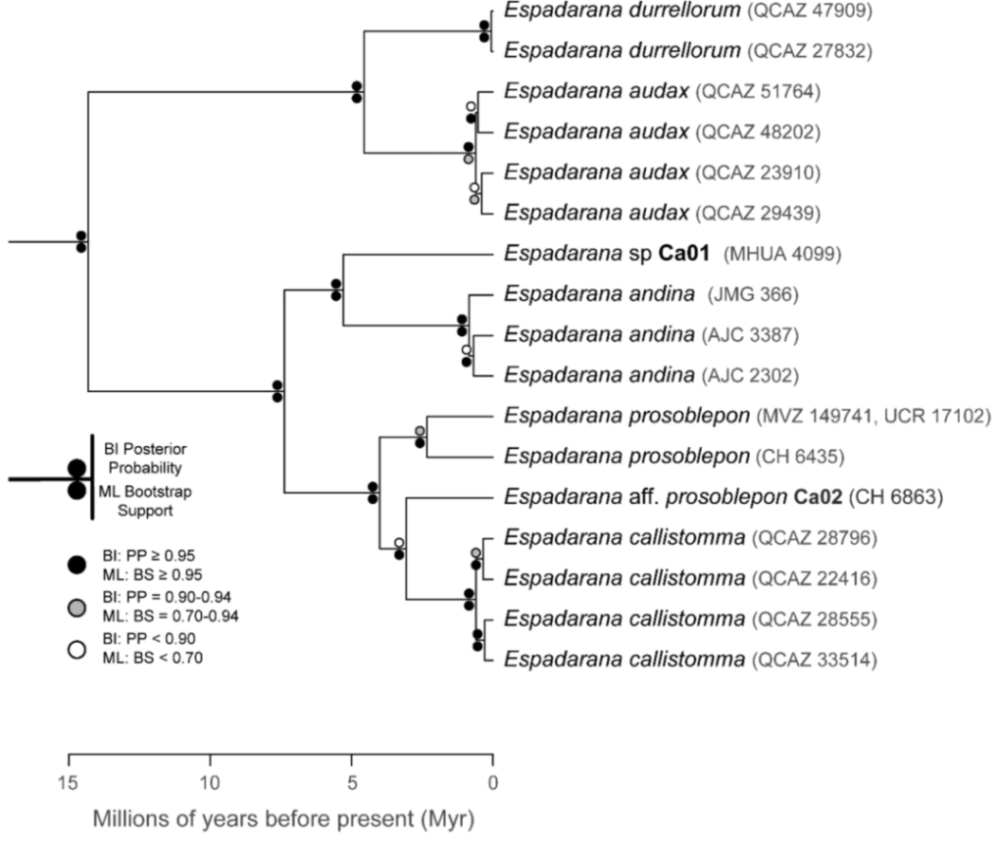 Diversity 12 00222 g088